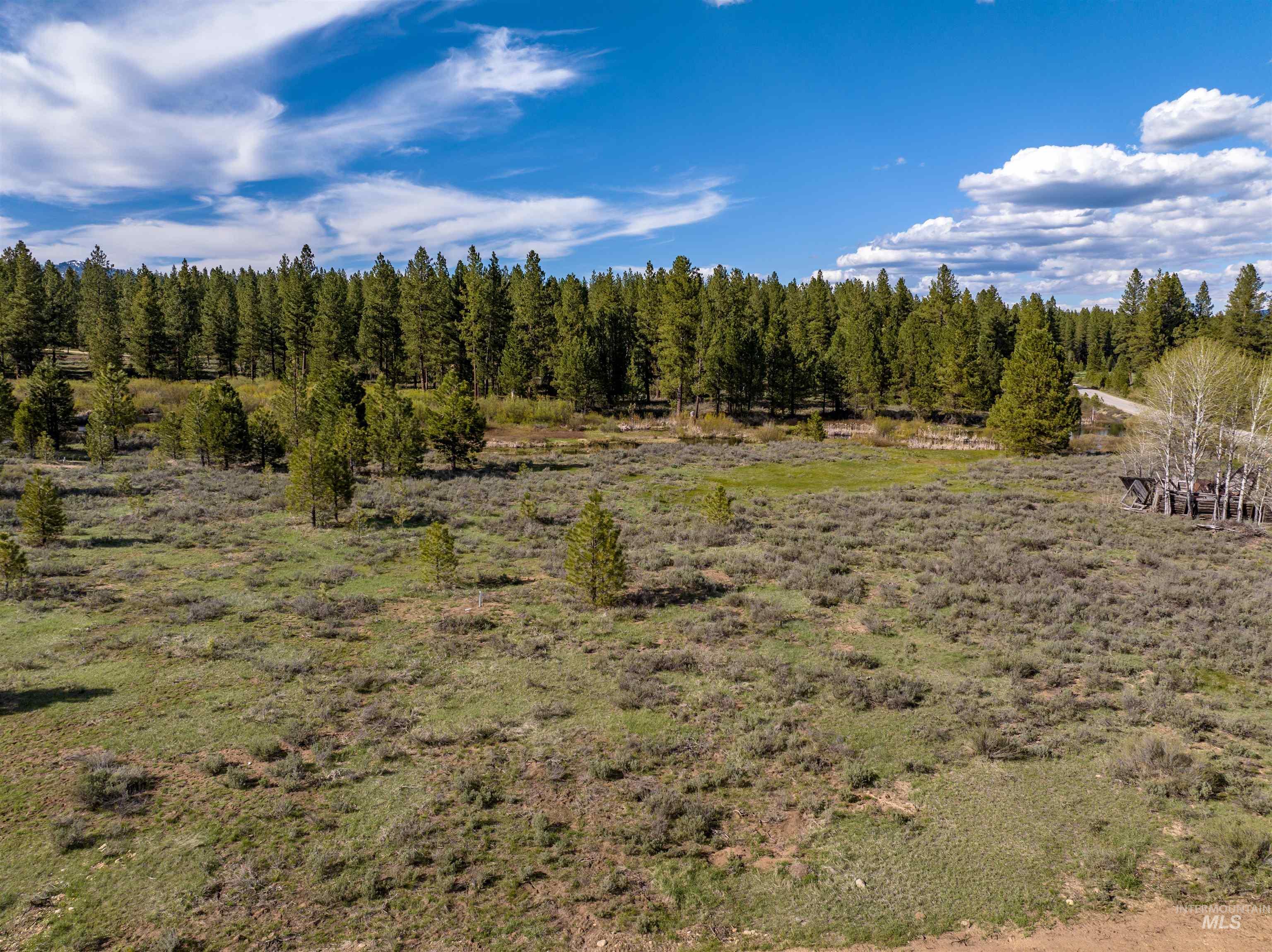 Lot 24 Trail Creek Ct, Placerville, Idaho 83666, Land For Sale, Price $195,000,MLS 99003021