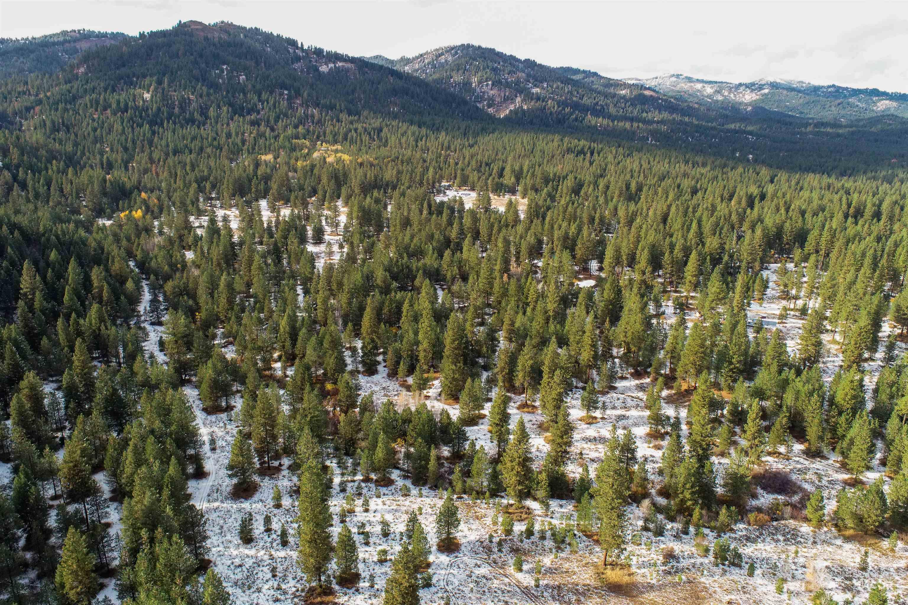 Lot 24 Trail Creek Ct, Placerville, Idaho 83666, Land For Sale, Price $195,000,MLS 99003021