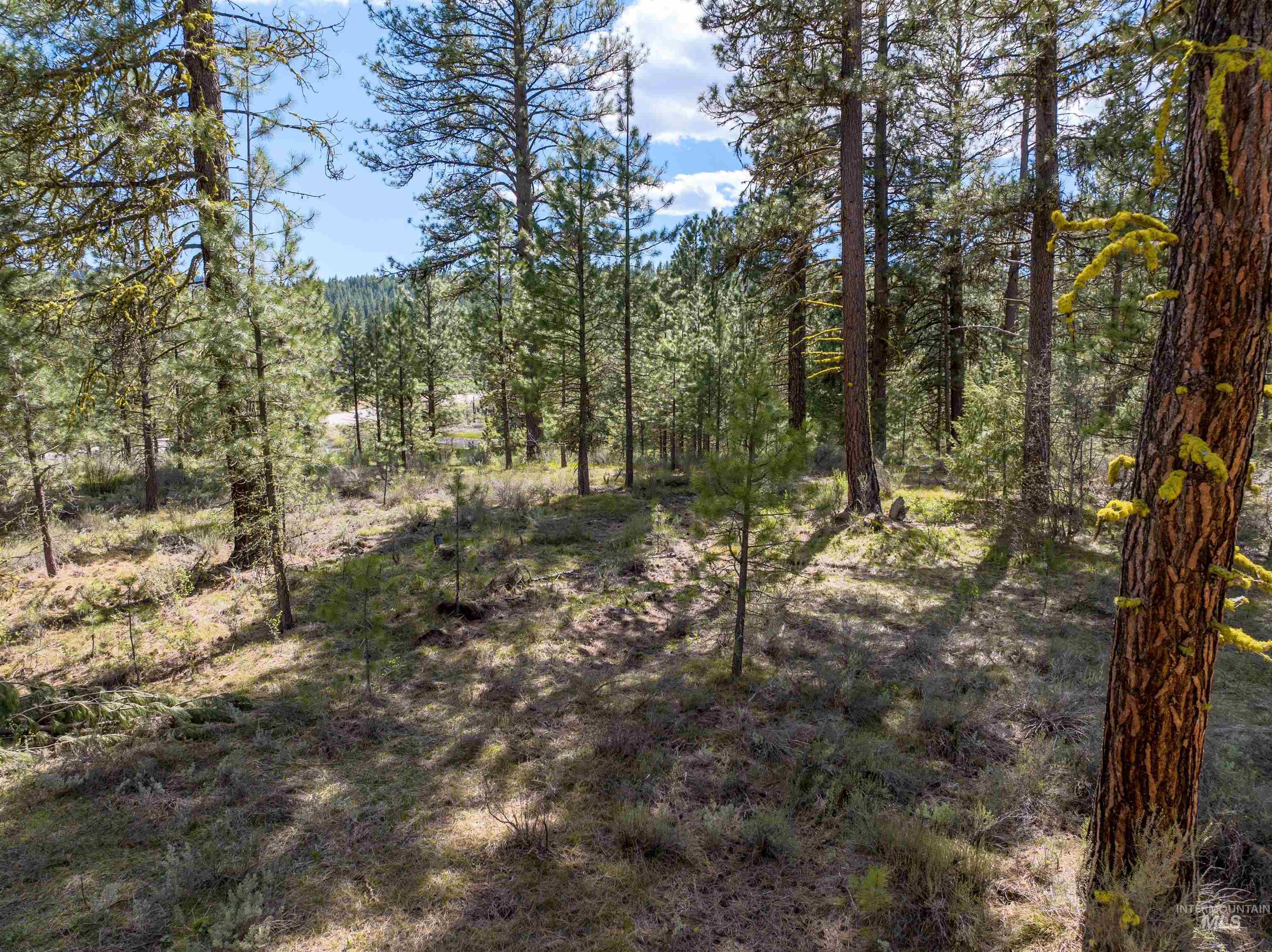 Lot 2 Star Creek Ct, Placerville, Idaho 83666, Land For Sale, Price $250,000,MLS 99003022