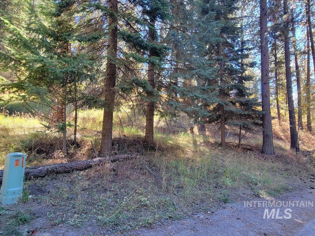 1270 Shore Drive, Cascade, Idaho 83611, Land For Sale, Price $129,900, 99003052