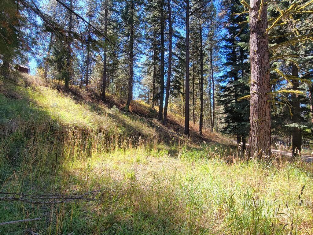 1270 Shore Drive, Cascade, Idaho 83611, Land For Sale, Price $129,900, 99003052
