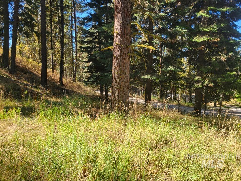 1270 Shore Drive, Cascade, Idaho 83611, Land For Sale, Price $129,900, 99003052