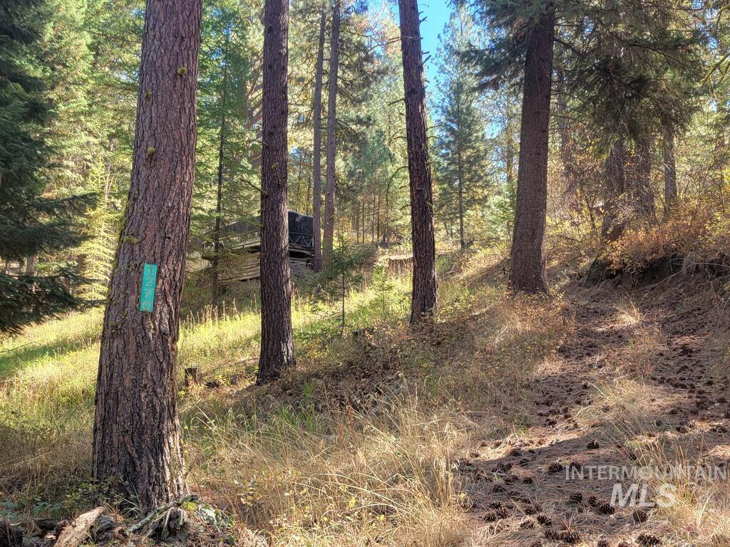 1270 Shore Drive, Cascade, Idaho 83611, Land For Sale, Price $129,900, 99003052