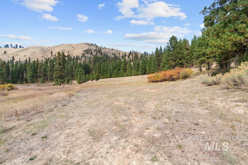 3487 Banks Lowman rd, Lowman, Idaho 83637, 2 Bedrooms, 2 Bathrooms, Residential For Sale, Price $450,000,MLS 99003053