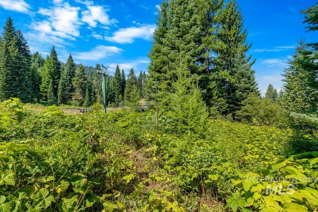 711 Whitewater Drive, Donnelly, Idaho 83615, Land For Sale, Price $649,999,MLS 99003122
