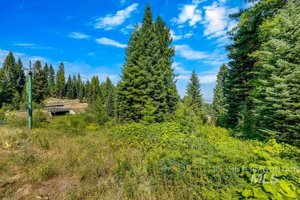 711 Whitewater Drive, Donnelly, Idaho 83615, Land For Sale, Price $649,999,MLS 99003122