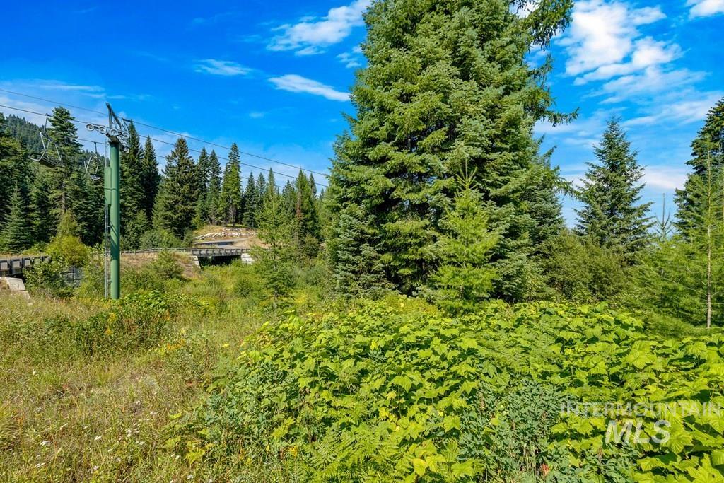 711 Whitewater Drive, Donnelly, Idaho 83615, Land For Sale, Price $649,999,MLS 99003122