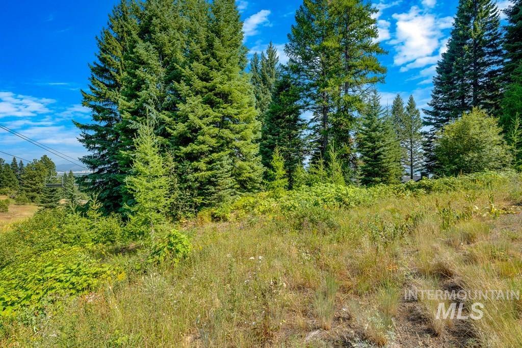 711 Whitewater Drive, Donnelly, Idaho 83615, Land For Sale, Price $649,999,MLS 99003122
