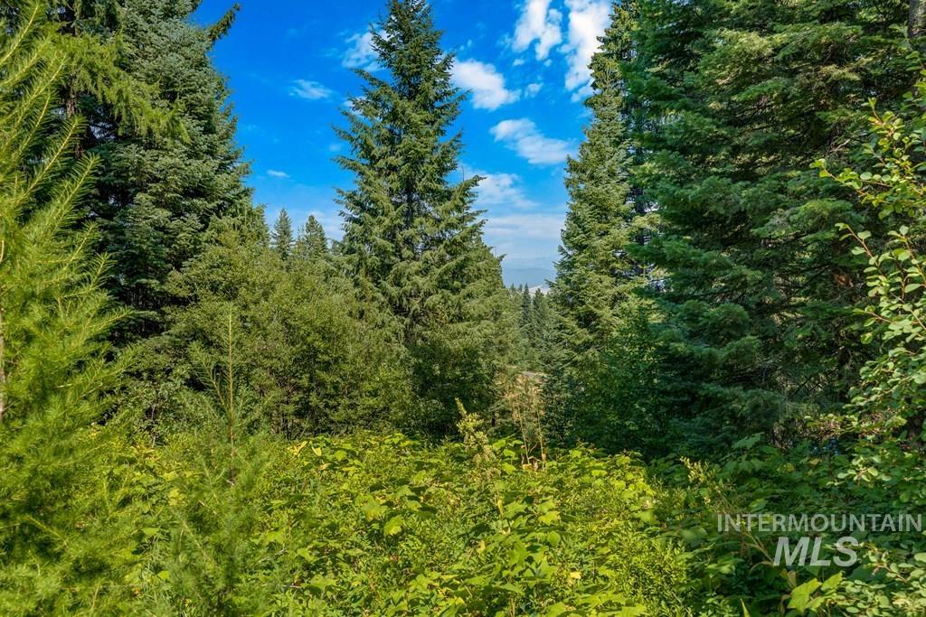 711 Whitewater Drive, Donnelly, Idaho 83615, Land For Sale, Price $649,999,MLS 99003122
