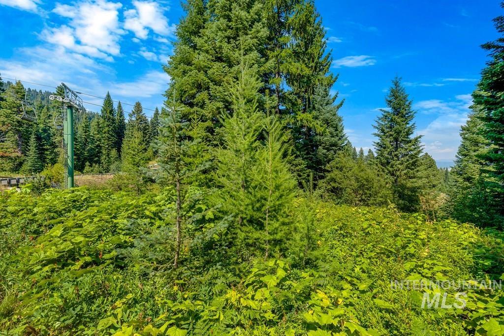 711 Whitewater Drive, Donnelly, Idaho 83615, Land For Sale, Price $649,999,MLS 99003122