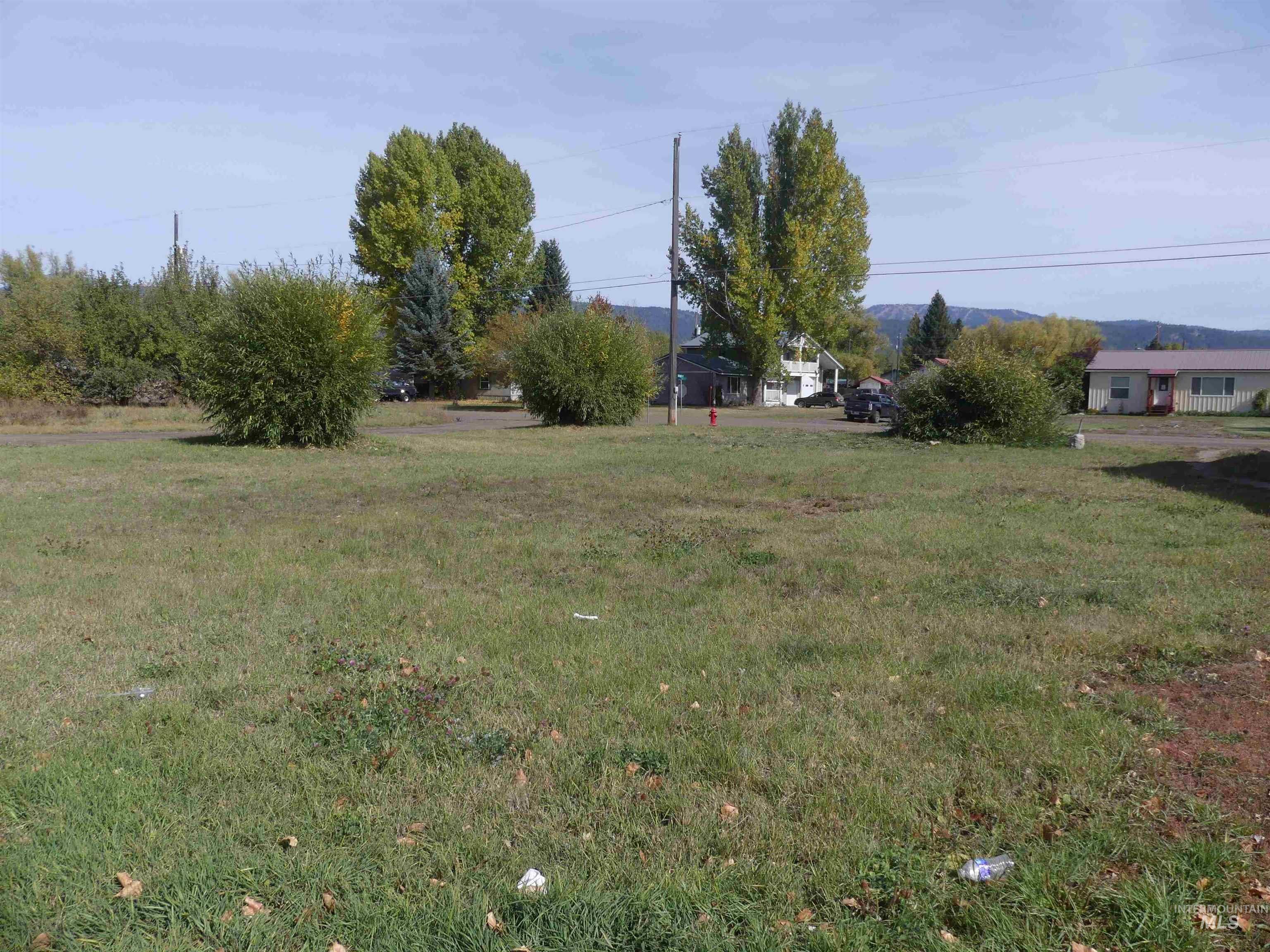 TBD Benedict, New Meadows, Idaho 83654, Land For Sale, Price $89,900, 99003135