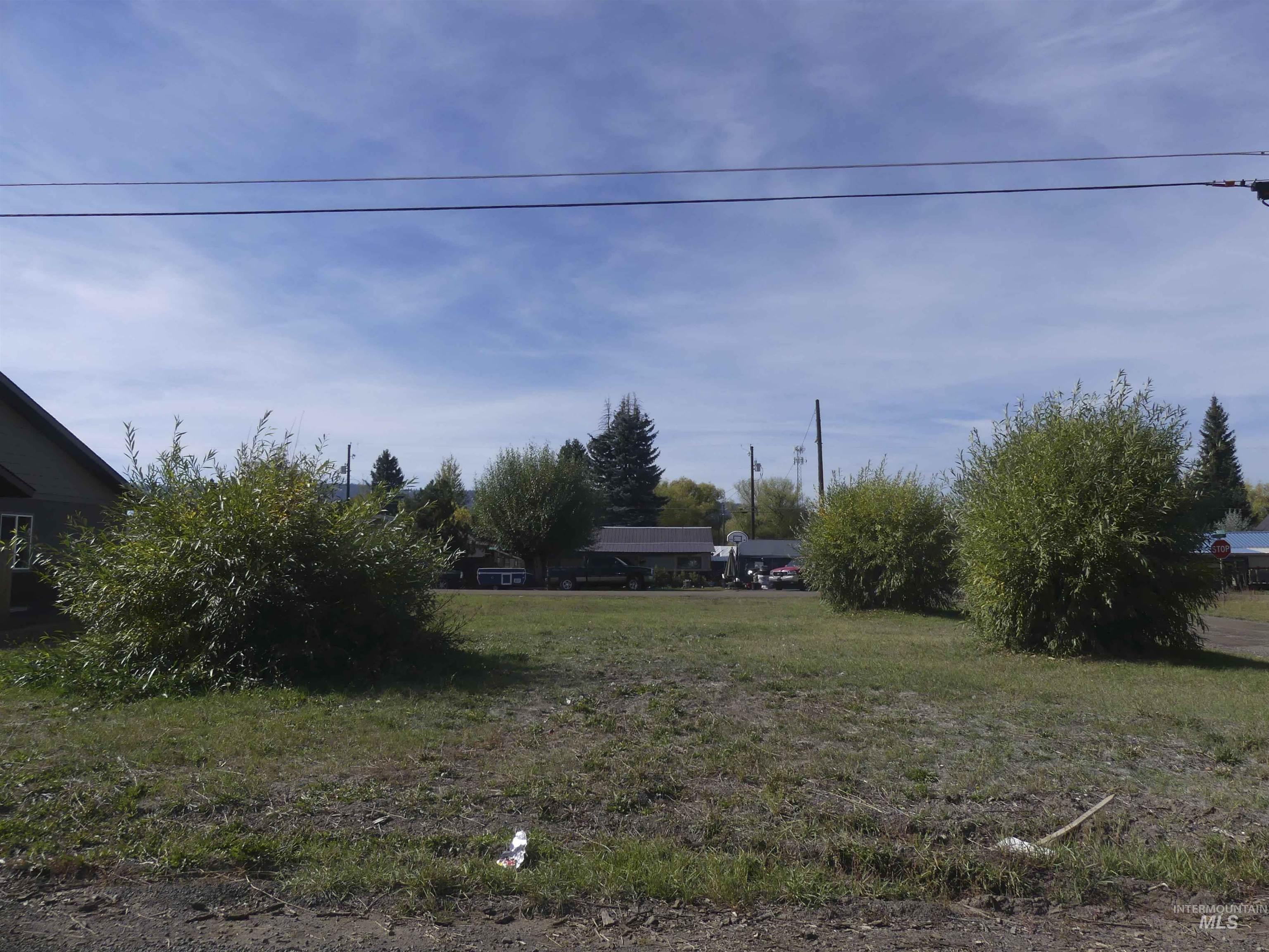 TBD Benedict, New Meadows, Idaho 83654, Land For Sale, Price $89,900, 99003135