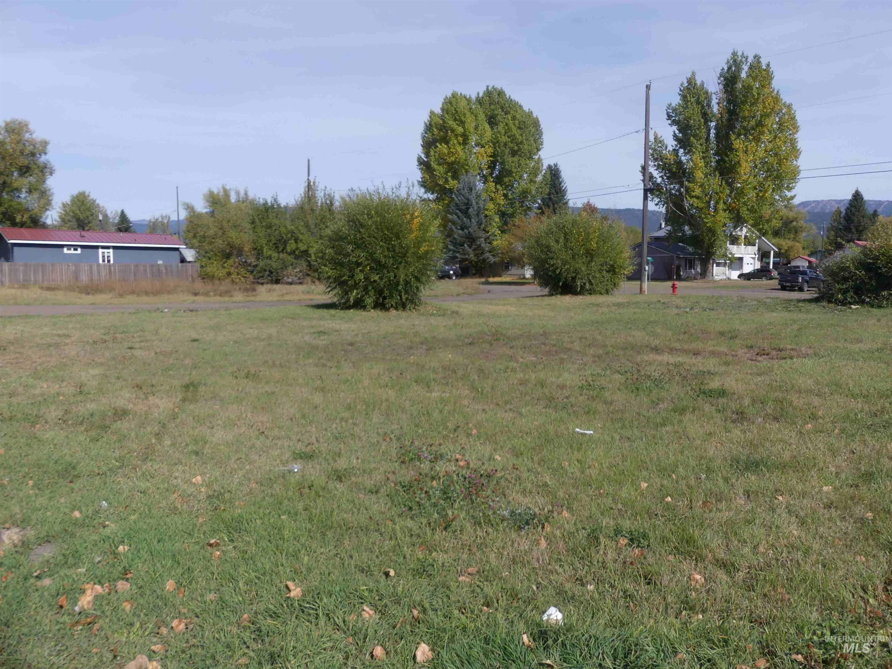 TBD Benedict, New Meadows, Idaho 83654, Land For Sale, Price $89,900, 99003135