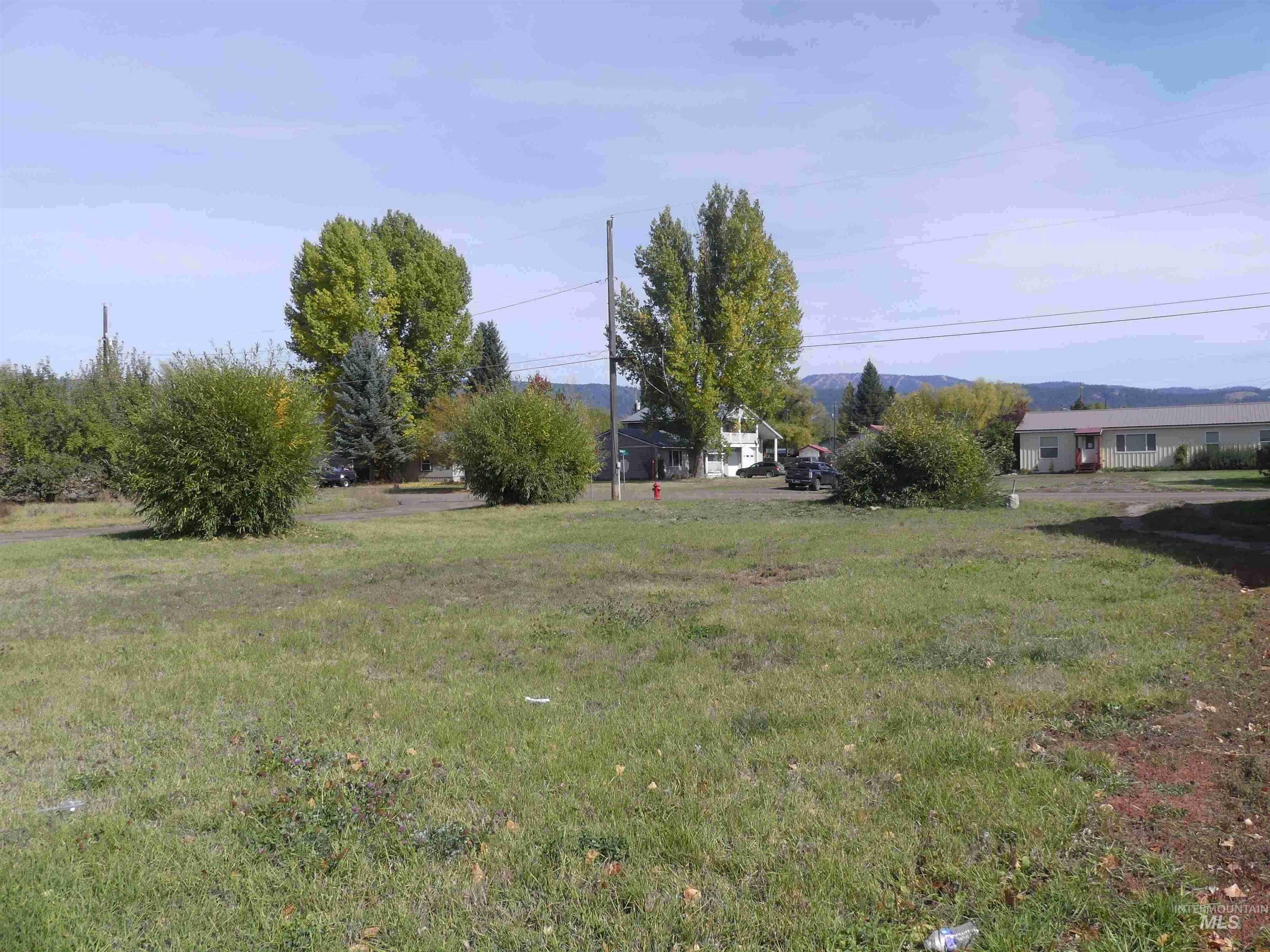 TBD Benedict, New Meadows, Idaho 83654, Land For Sale, Price $89,900, 99003135