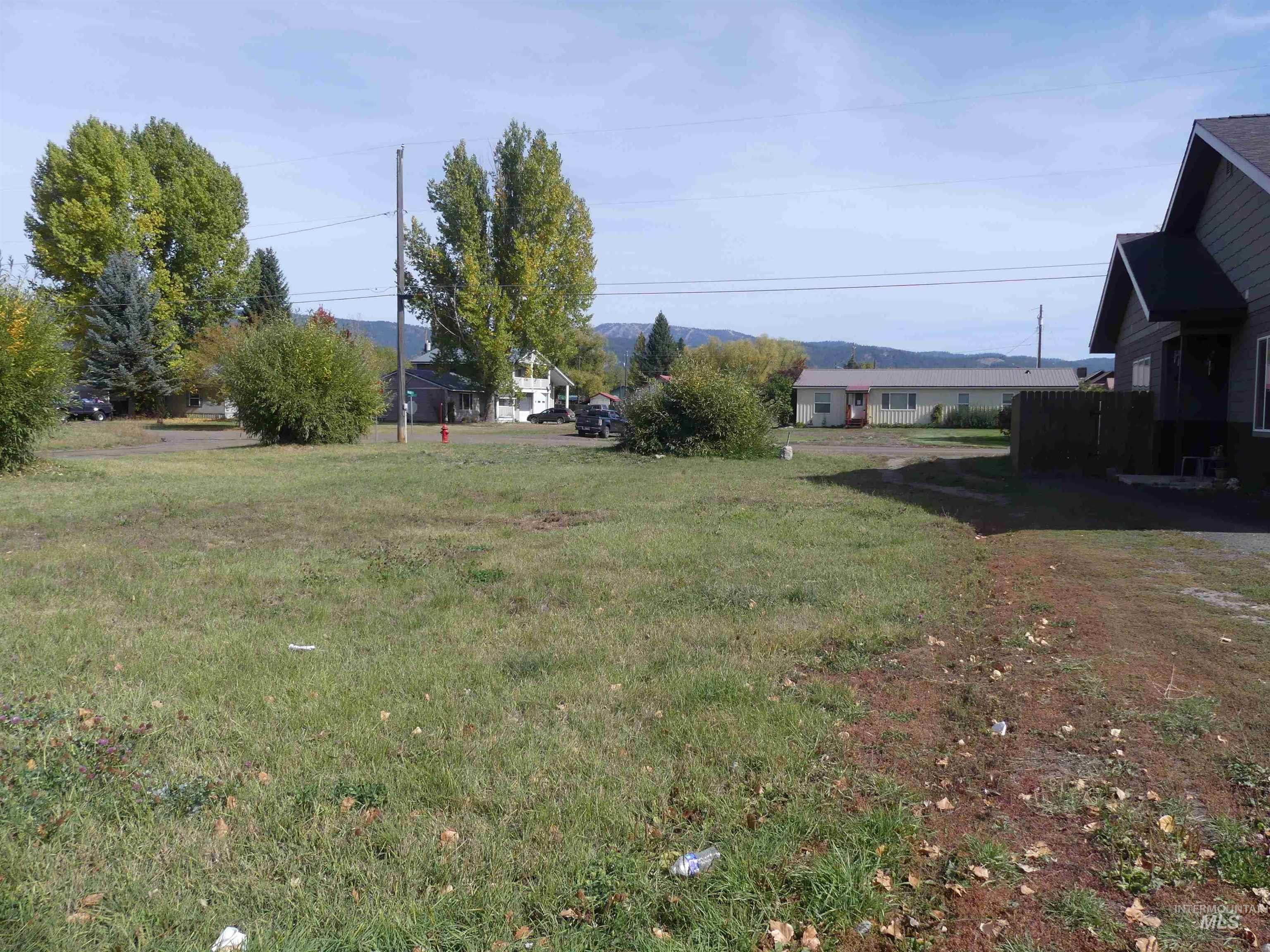 TBD Benedict, New Meadows, Idaho 83654, Land For Sale, Price $89,900, 99003135