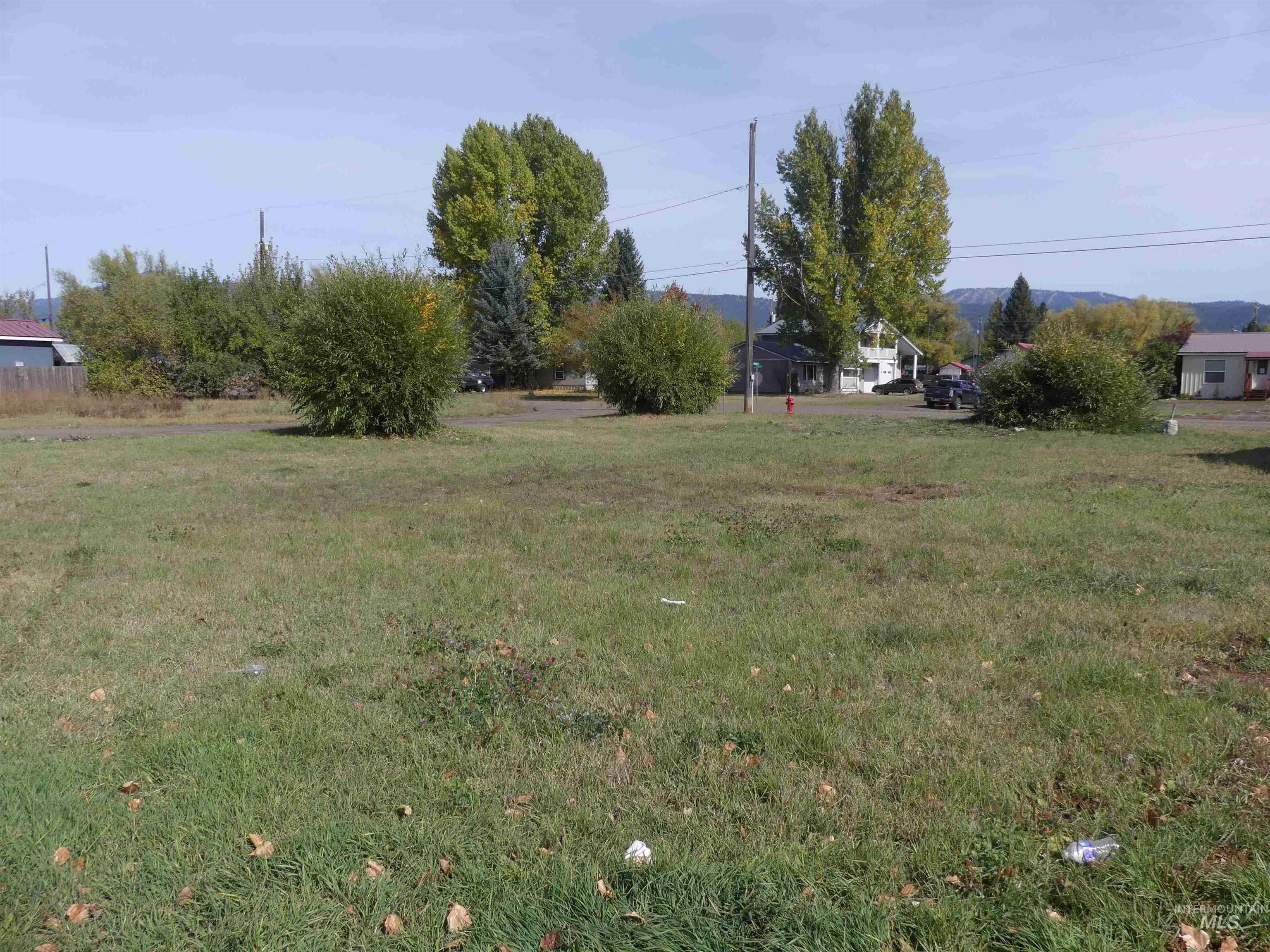 TBD Benedict, New Meadows, Idaho 83654, Land For Sale, Price $89,900, 99003135