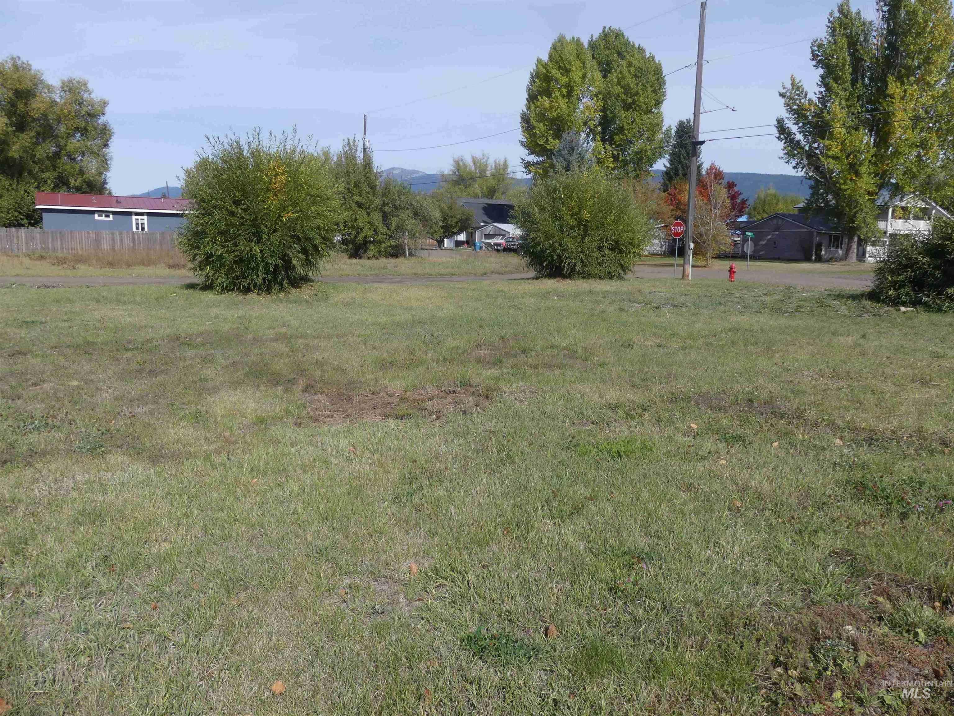 TBD Benedict, New Meadows, Idaho 83654, Land For Sale, Price $89,900, 99003135