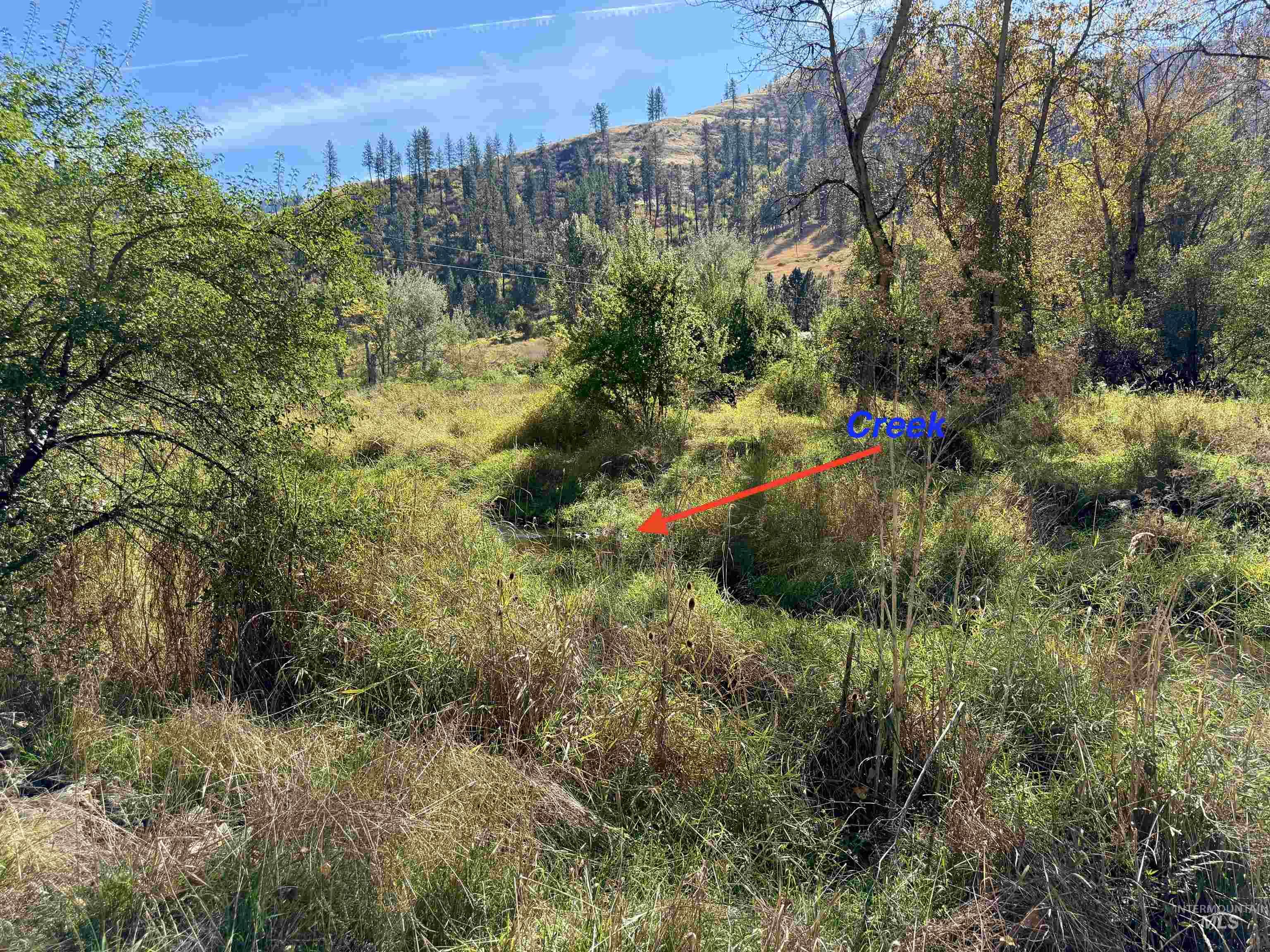 3180 & 3170 Lawyer Creek Road, Kamiah, Idaho 83536, 3 Bedrooms, 1 Bathroom, Residential For Sale, Price $180,000,MLS 99003136