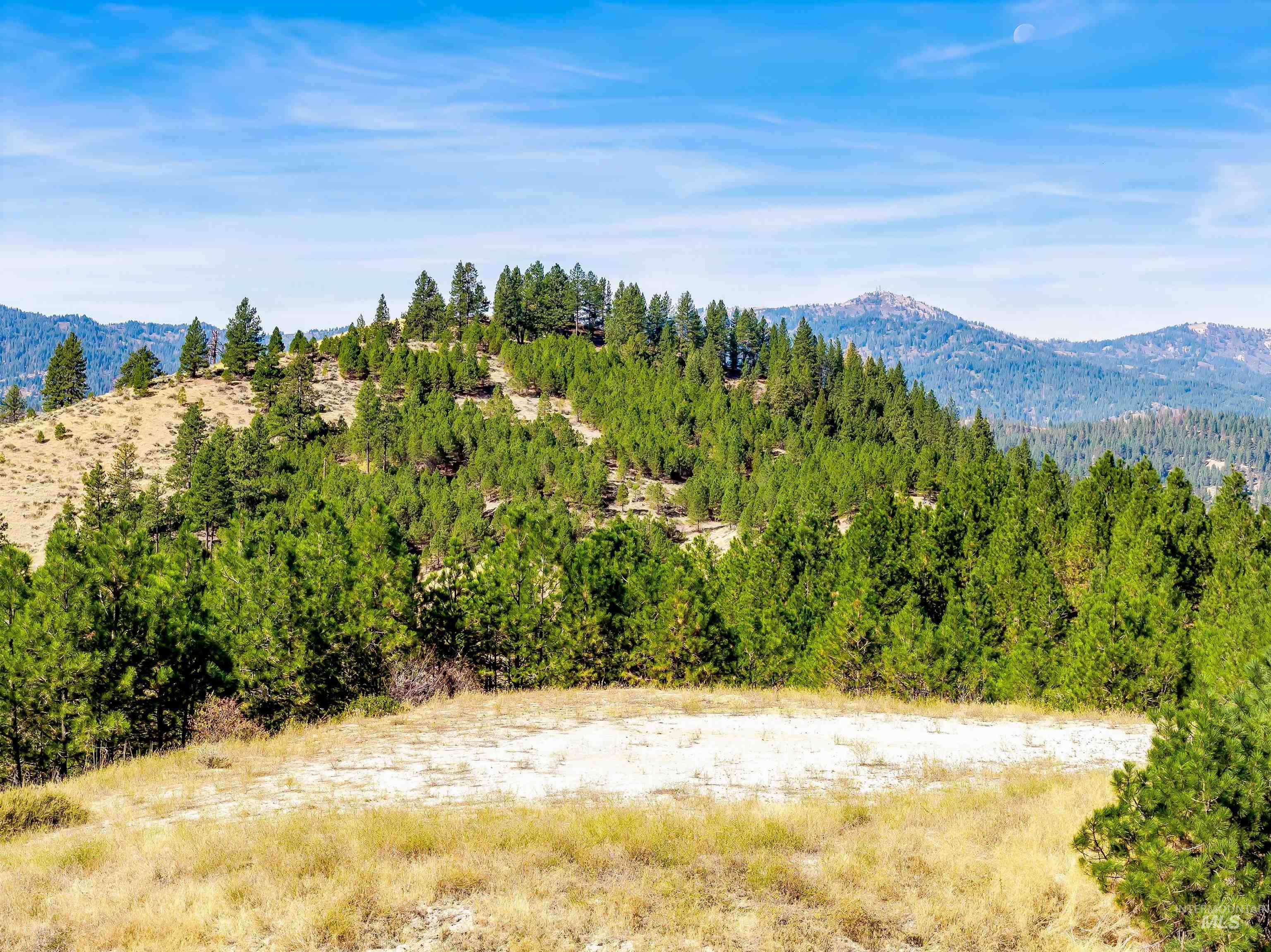 TBD Trails End Way, Boise, Idaho 83716, Land For Sale, Price $349,900,MLS 99003143