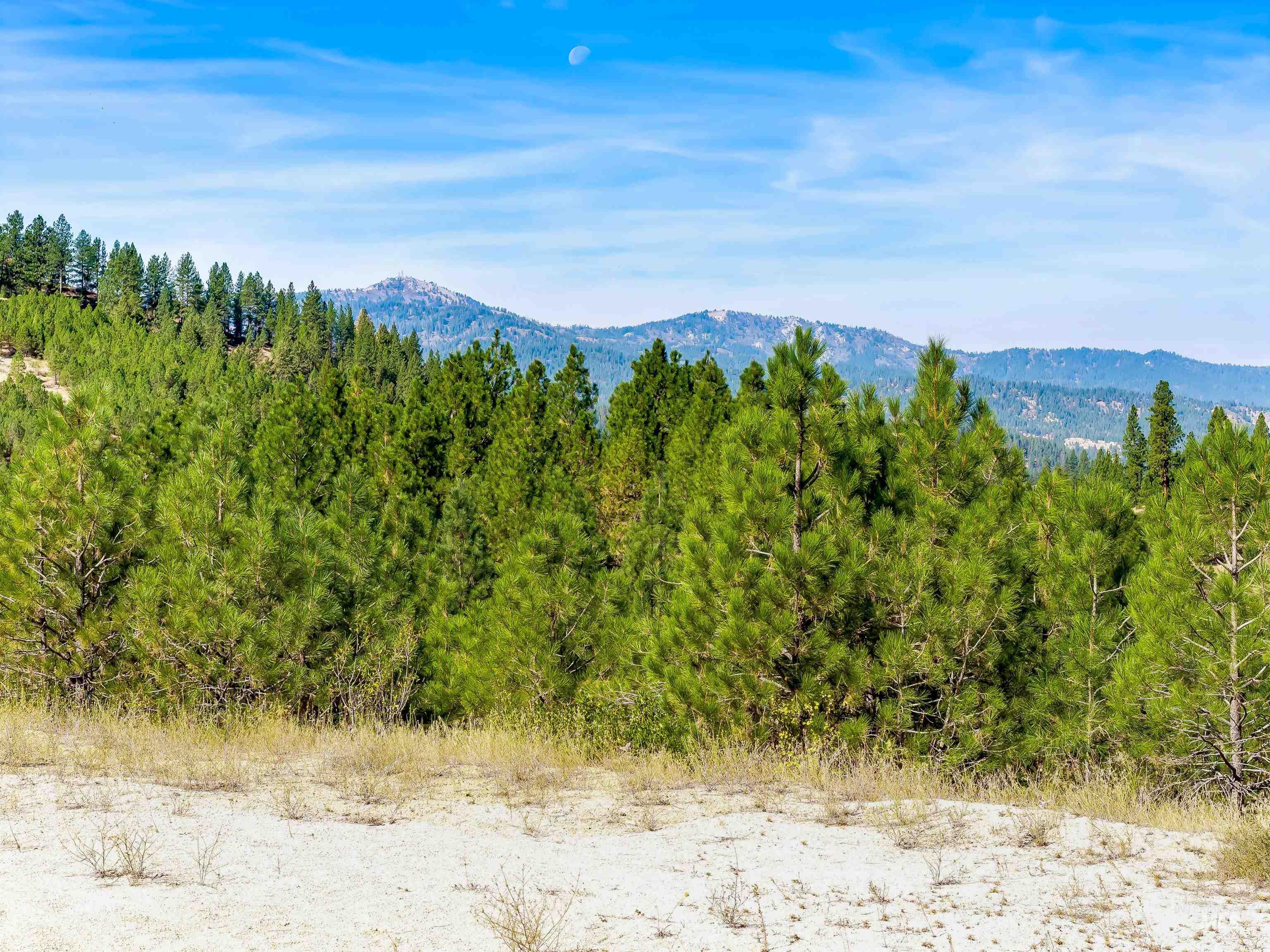 TBD Trails End Way, Boise, Idaho 83716, Land For Sale, Price $349,900,MLS 99003143