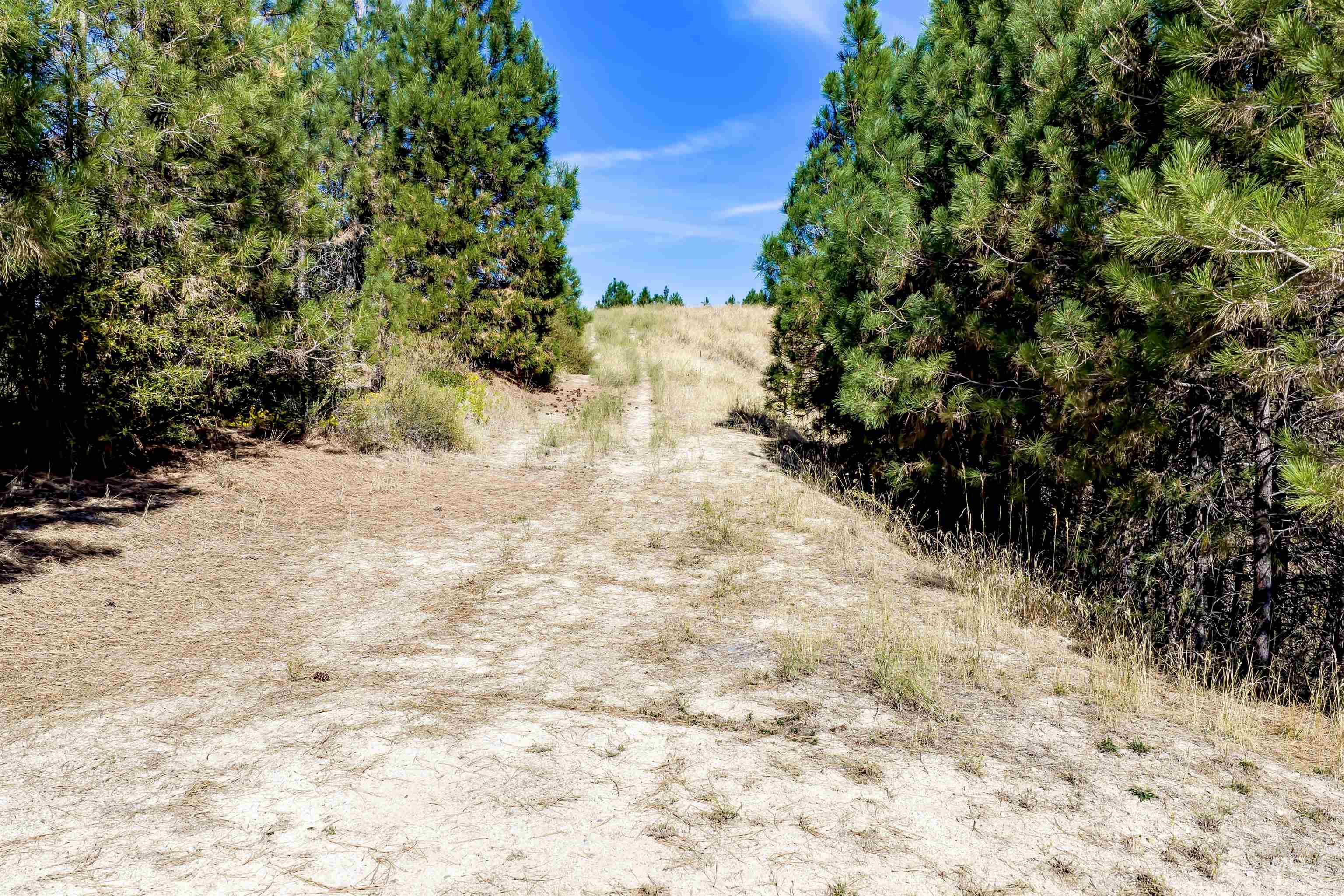TBD Trails End Way, Boise, Idaho 83716, Land For Sale, Price $349,900,MLS 99003143