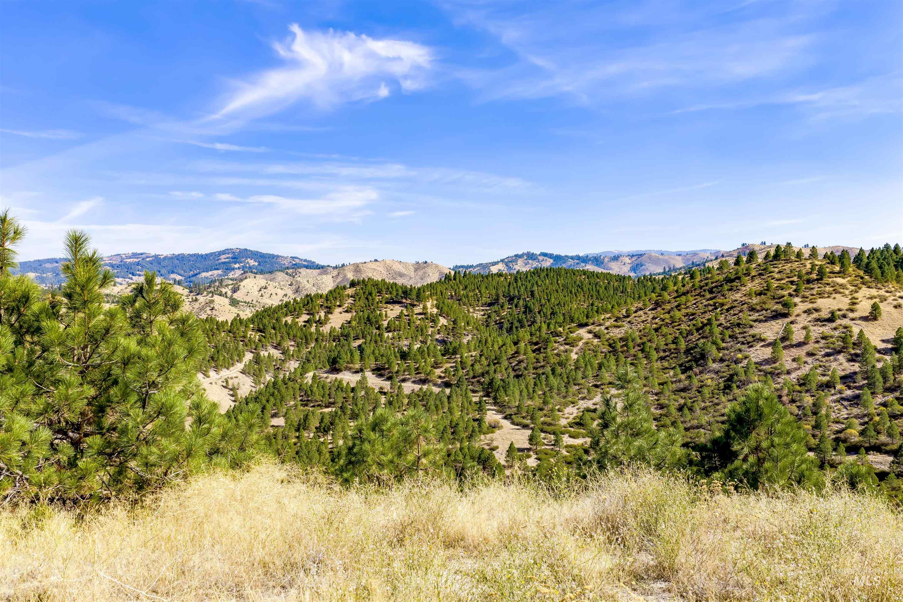TBD Trails End Way, Boise, Idaho 83716, Land For Sale, Price $349,900,MLS 99003143
