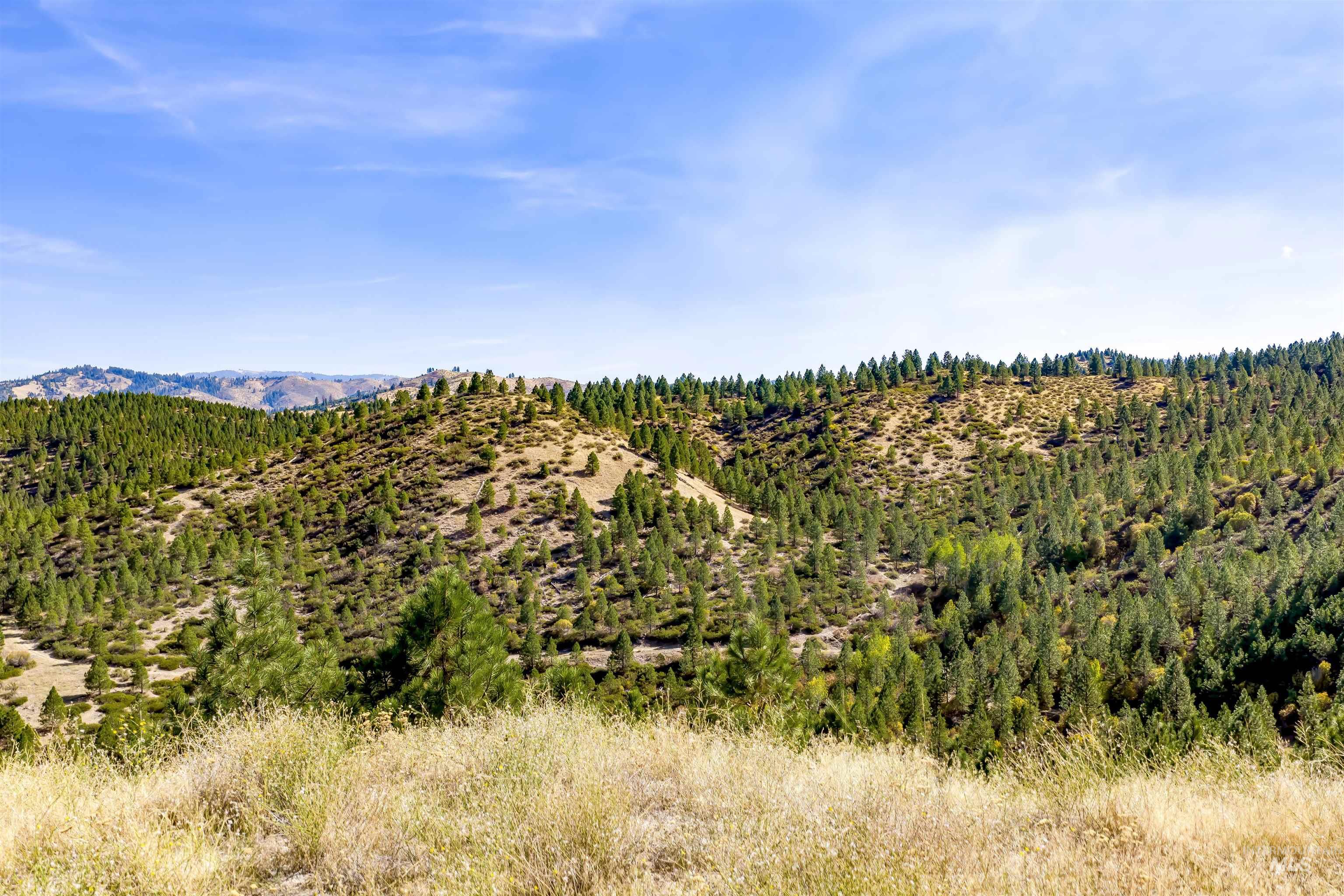 TBD Trails End Way, Boise, Idaho 83716, Land For Sale, Price $349,900,MLS 99003143