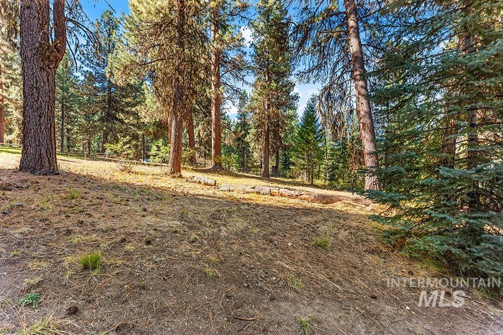 TBD Willow Dr, Lowman, Idaho 83637, Land For Sale, Price $75,000, 99003642