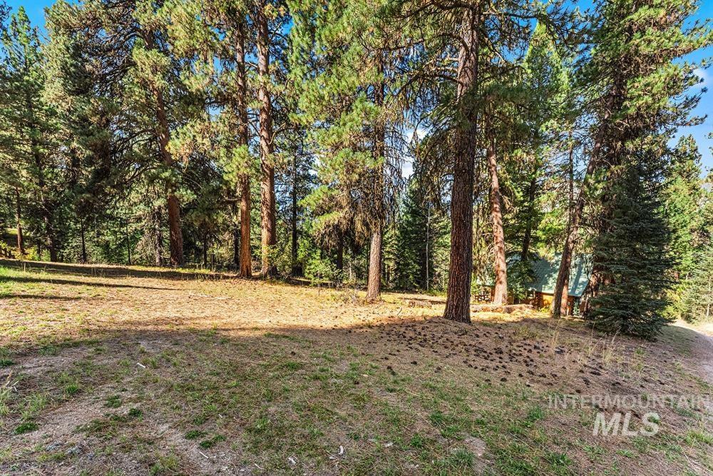 TBD Willow Dr, Lowman, Idaho 83637, Land For Sale, Price $75,000, 99003642