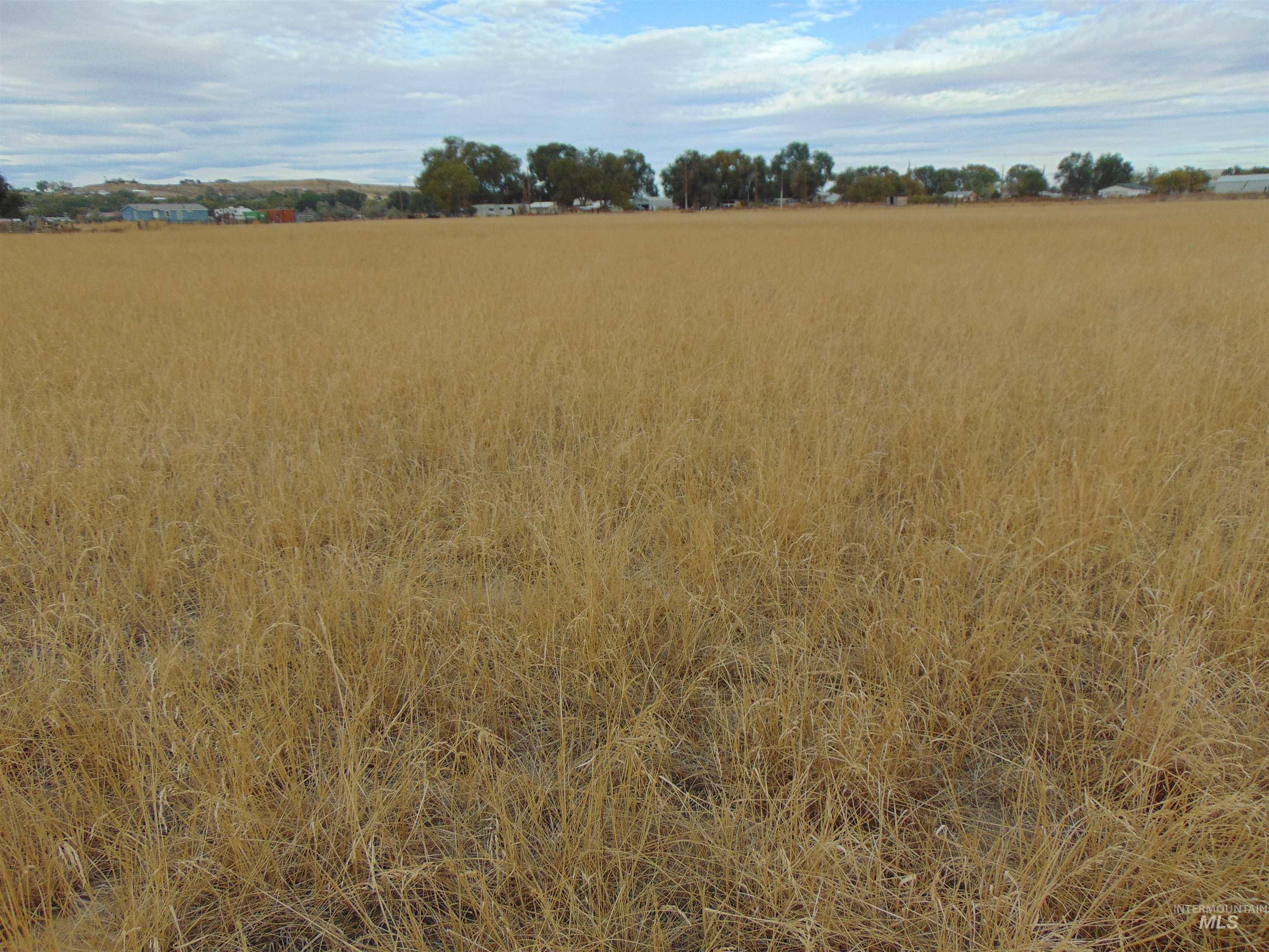 TBD Saddlehorn Lane, Vale, Oregon 97918, Land For Sale, Price $149,900, 99003651