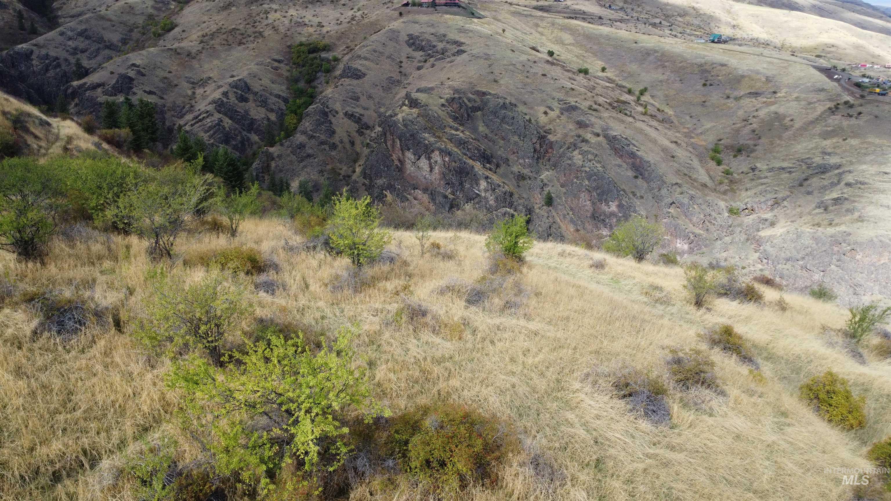 000 Mountain View Rd, White Bird, Idaho 83554, Land For Sale, Price $135,000, 99003653