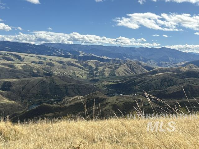 000 Mountain View Rd, White Bird, Idaho 83554, Land For Sale, Price $135,000, 99003653