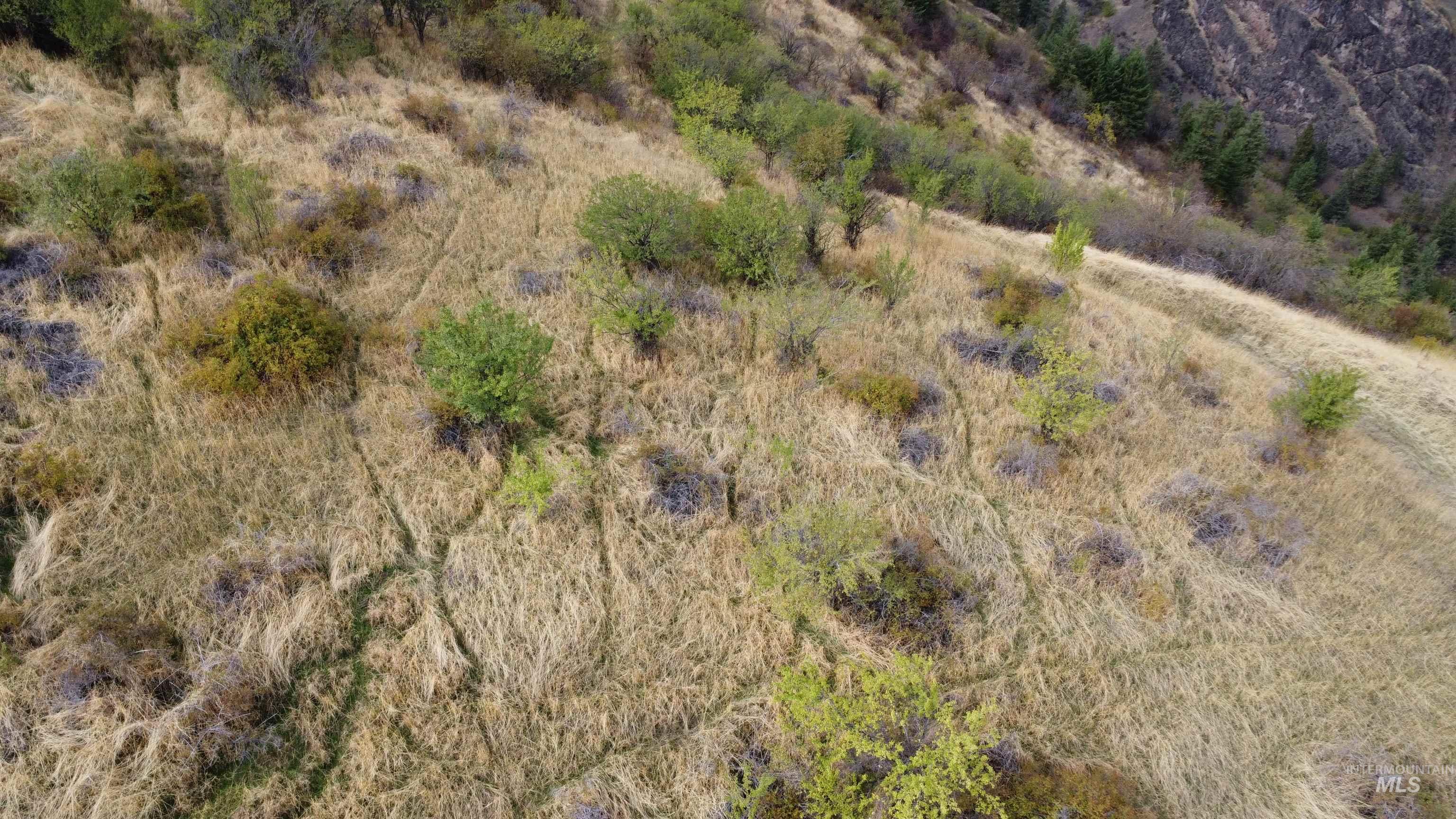 000 Mountain View Rd, White Bird, Idaho 83554, Land For Sale, Price $135,000, 99003653
