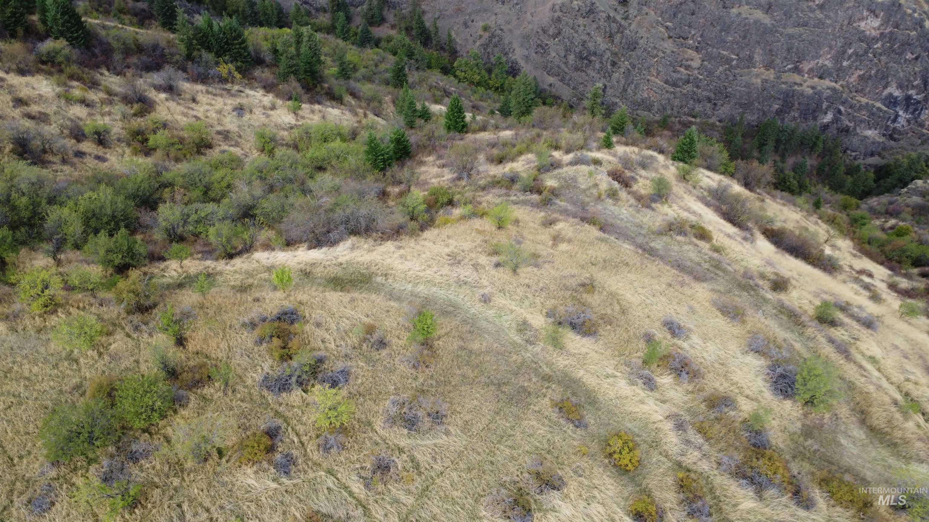 000 Mountain View Rd, White Bird, Idaho 83554, Land For Sale, Price $135,000, 99003653