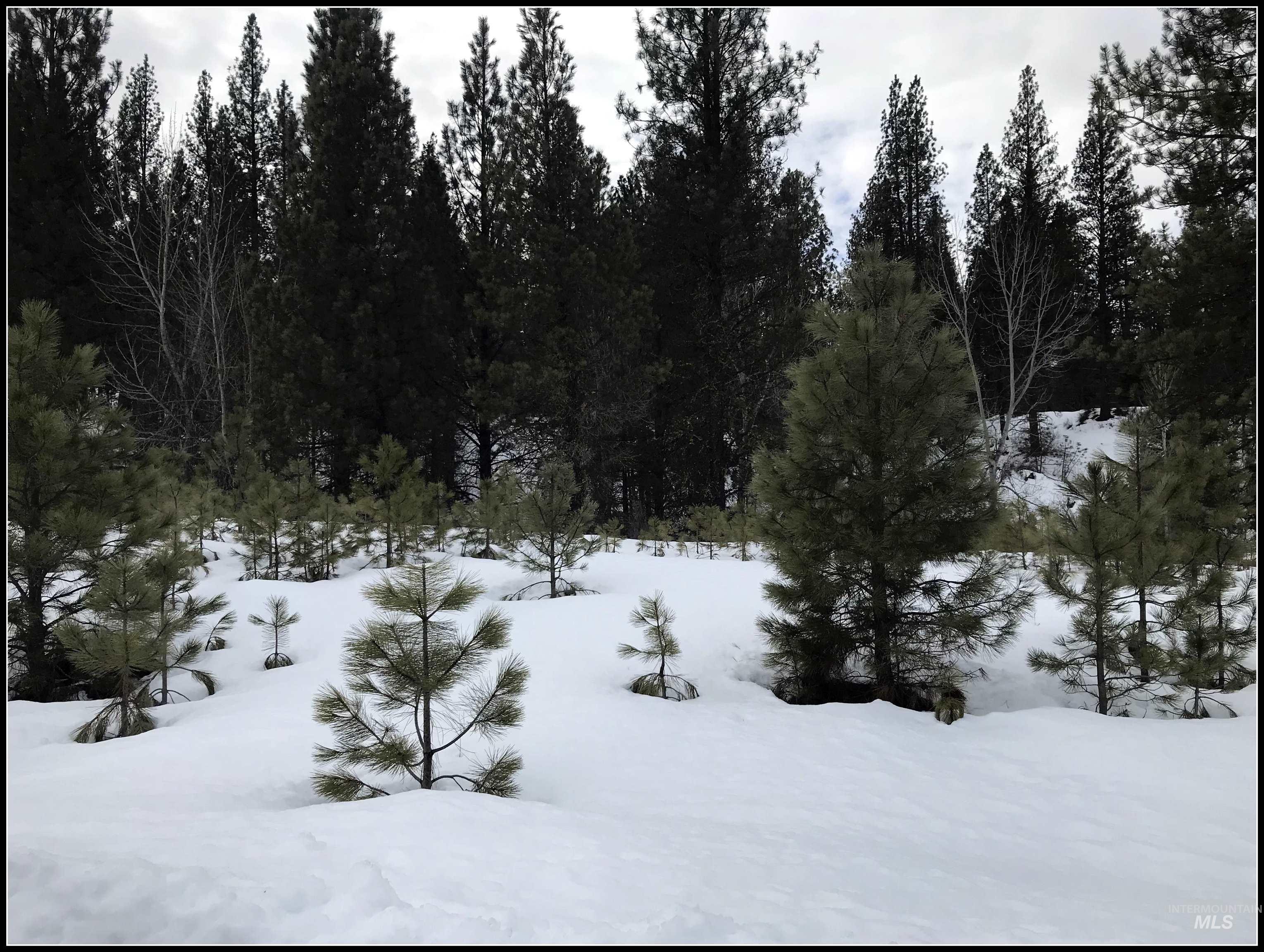 Lot 60 Lily Loop, Idaho City, Idaho 83631, Land For Sale, Price $87,990, 99003674