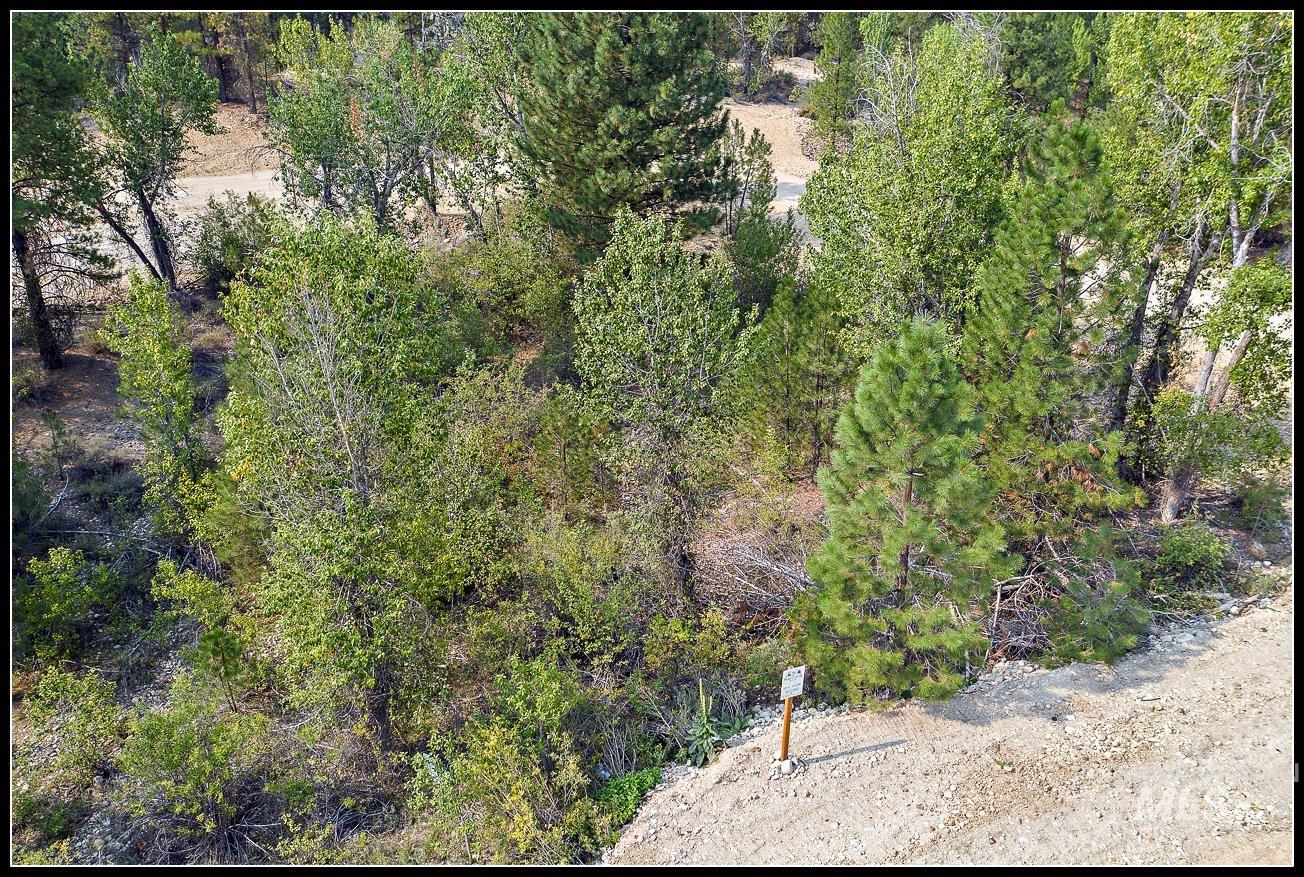 Lot 61 Lily Loop, Idaho City, Idaho 83631, Land For Sale, Price $83,990, 99003678