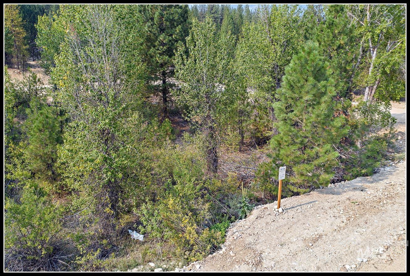 Lot 61 Lily Loop, Idaho City, Idaho 83631, Land For Sale, Price $83,990, 99003678