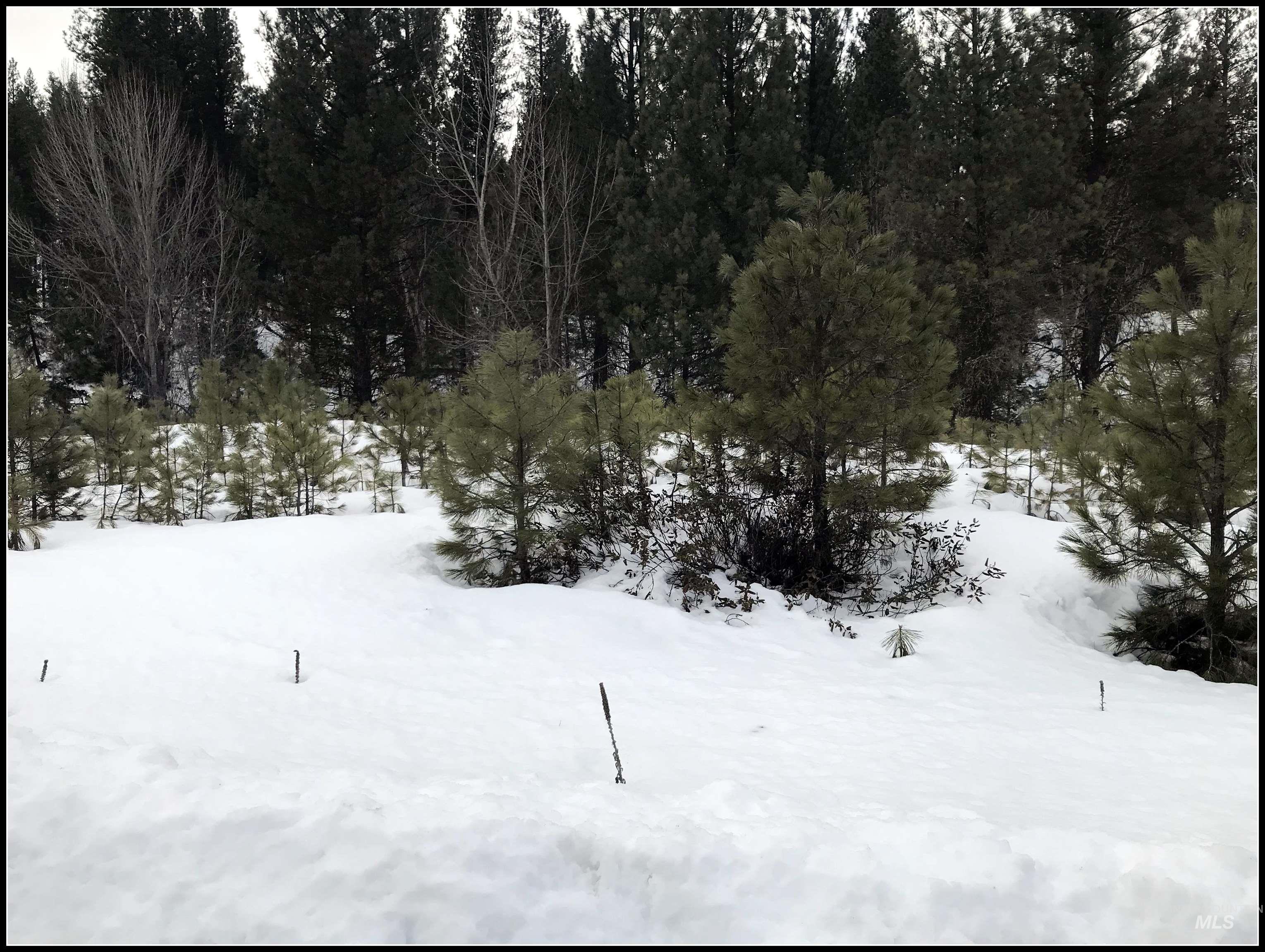 Lot 73 Lainey Lane, Idaho City, Idaho 83631, Land For Sale, Price $90,990, 99003680