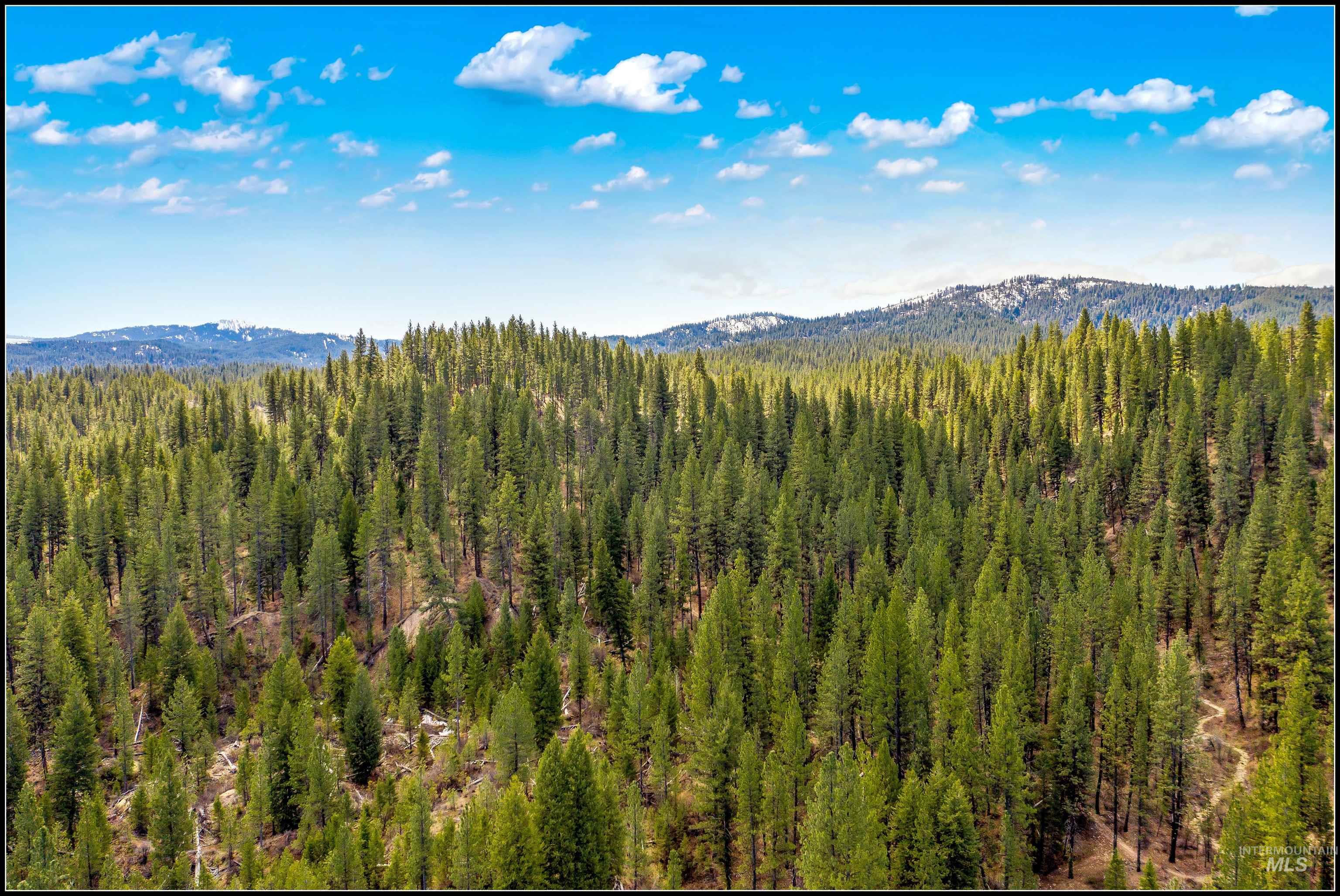 Lot 73 Lainey Lane, Idaho City, Idaho 83631, Land For Sale, Price $90,990, 99003680