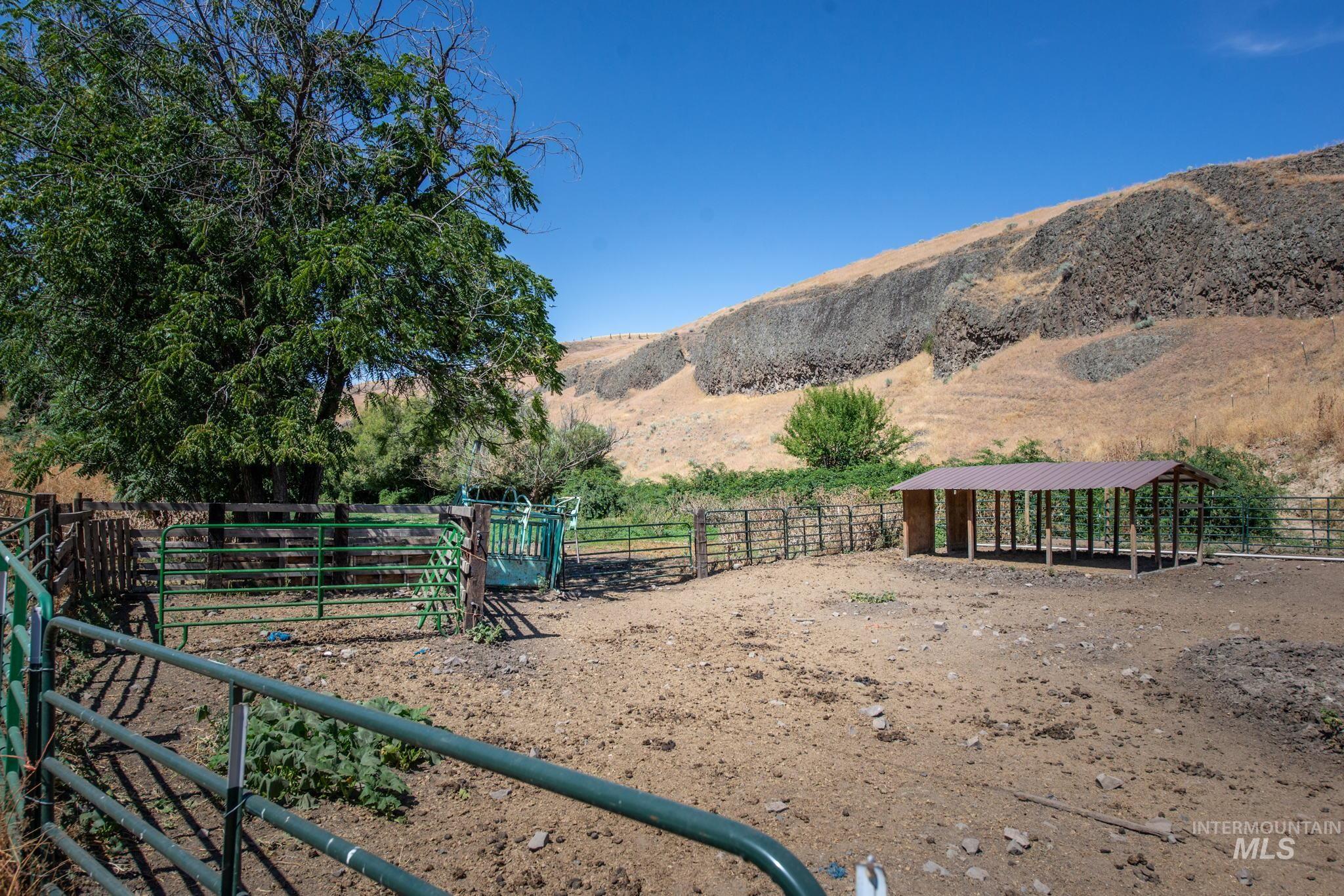 2707 Lindsay Creek Rd, Lewiston, Idaho 83501, 4 Bedrooms, 2 Bathrooms, Residential For Sale, Price $550,000,MLS 99003704
