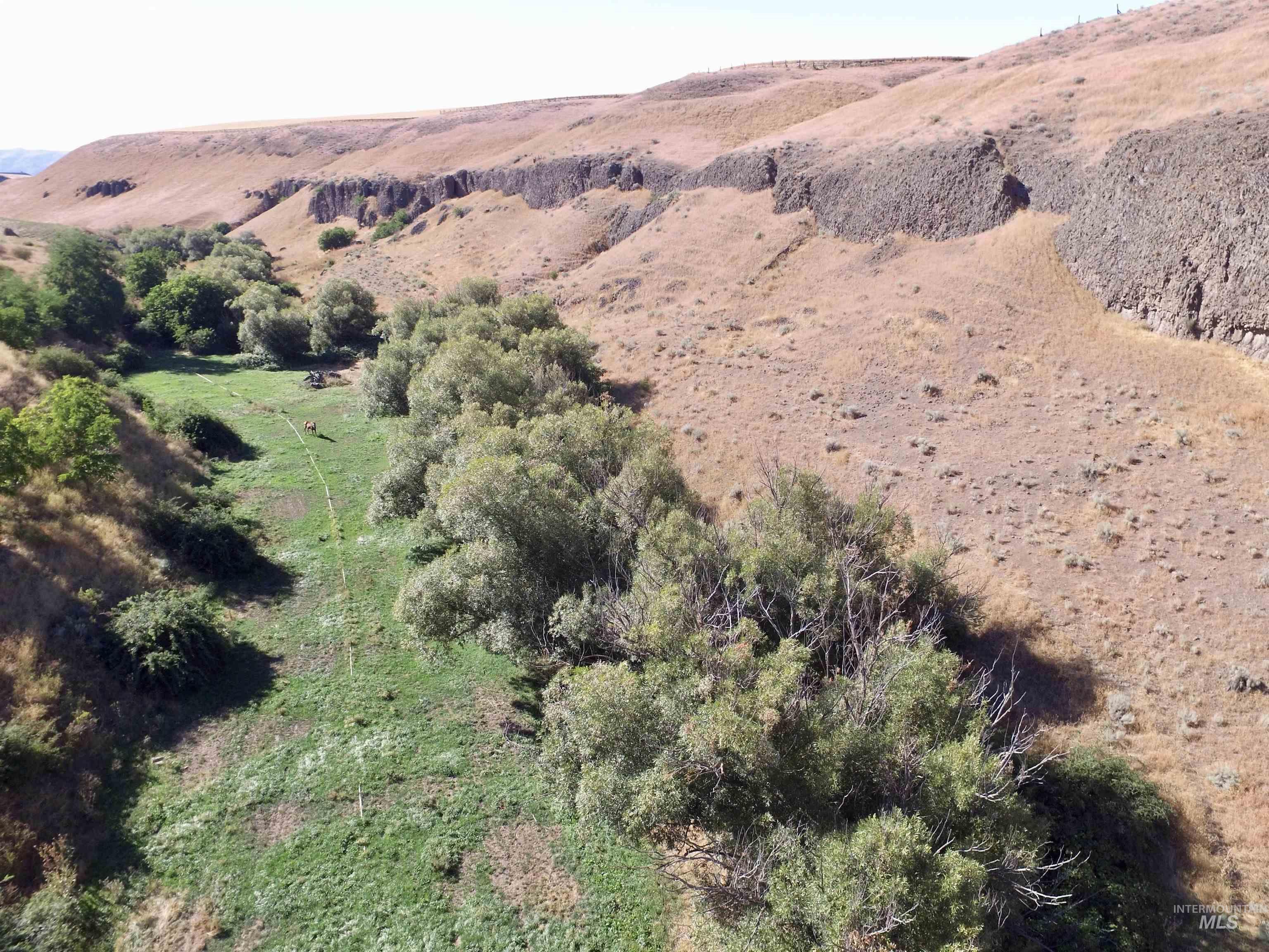 2707 Lindsay Creek Rd, Lewiston, Idaho 83501, 4 Bedrooms, 2 Bathrooms, Residential For Sale, Price $550,000,MLS 99003704