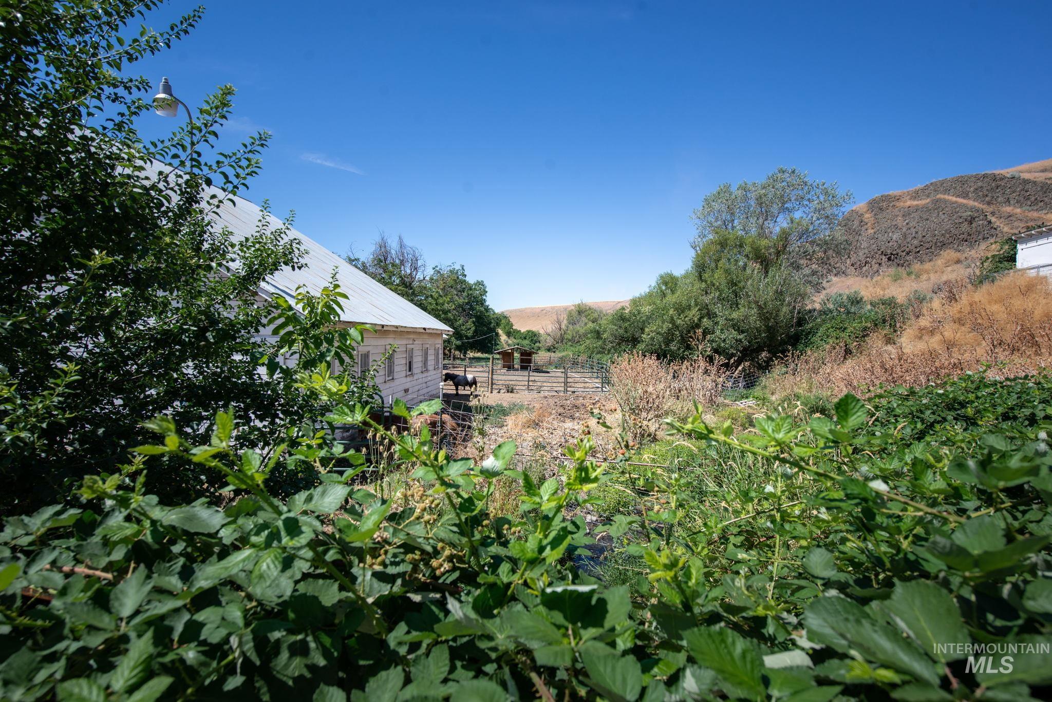 2707 Lindsay Creek Rd, Lewiston, Idaho 83501, 4 Bedrooms, 2 Bathrooms, Residential For Sale, Price $550,000,MLS 99003704
