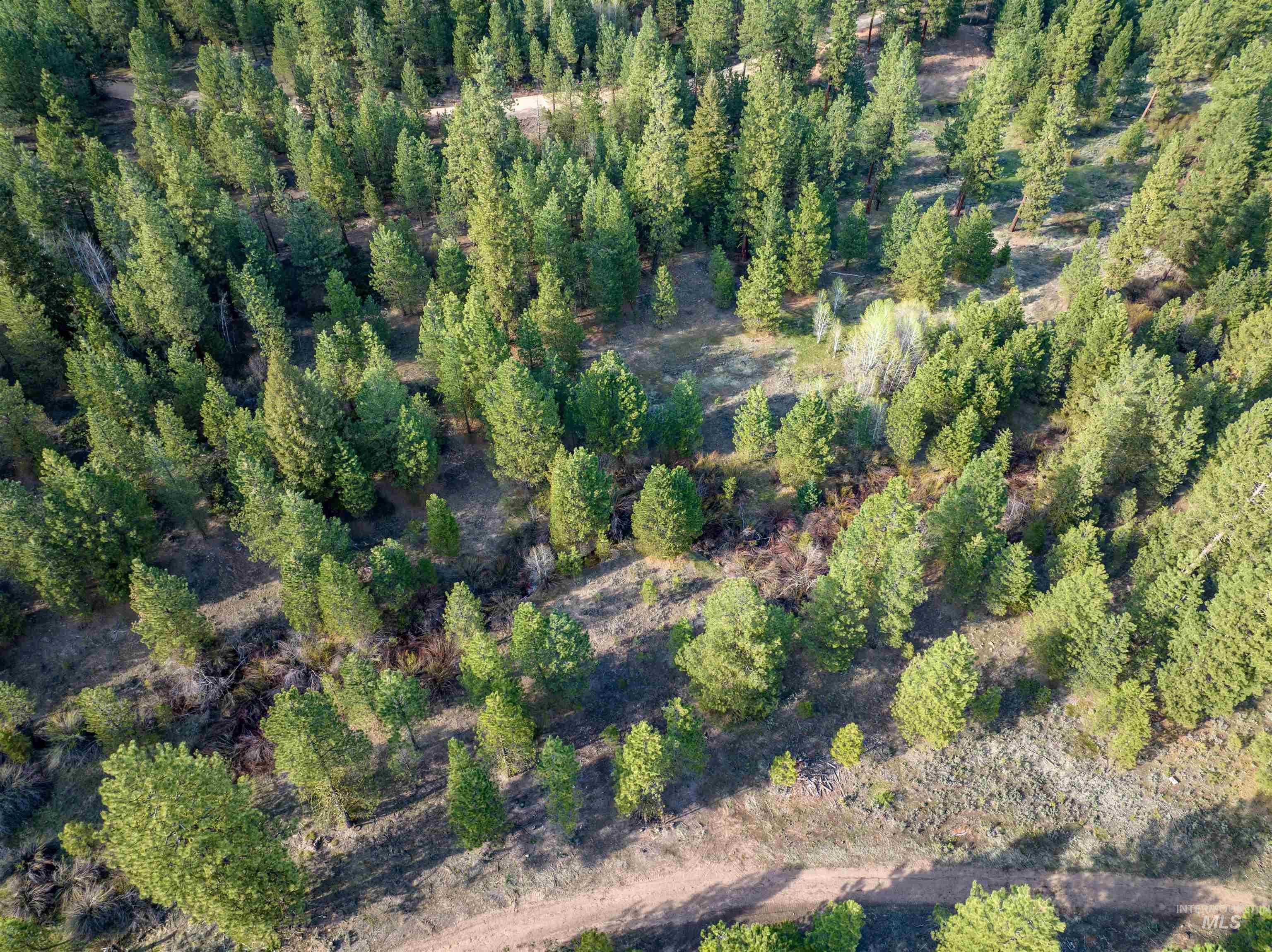 Lot 31 Trail Creek Ct, Placerville, Idaho 83666, Land For Sale, Price $195,000,MLS 99003716