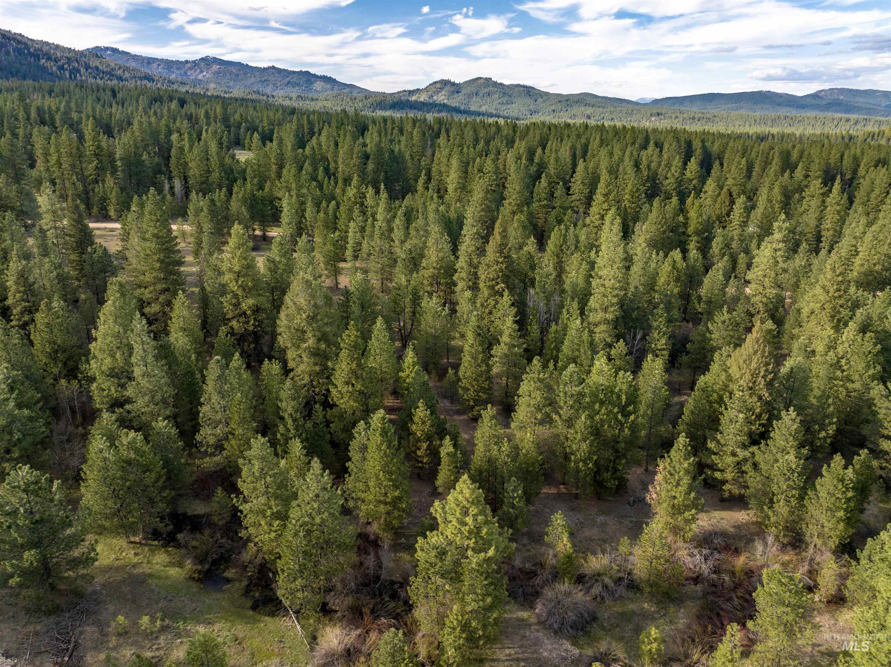 Lot 31 Trail Creek Ct, Placerville, Idaho 83666, Land For Sale, Price $195,000,MLS 99003716