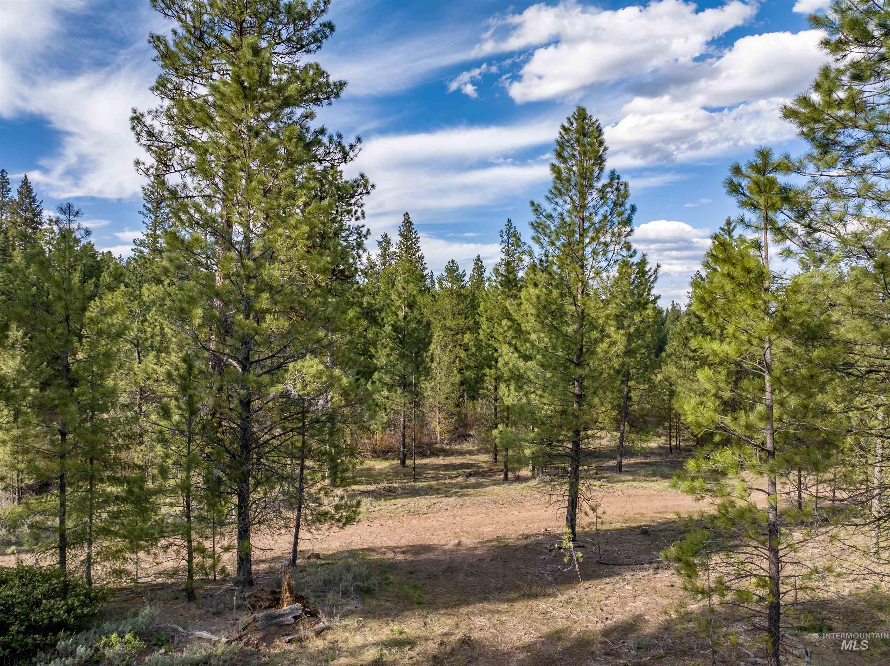 Lot 31 Trail Creek Ct, Placerville, Idaho 83666, Land For Sale, Price $195,000,MLS 99003716
