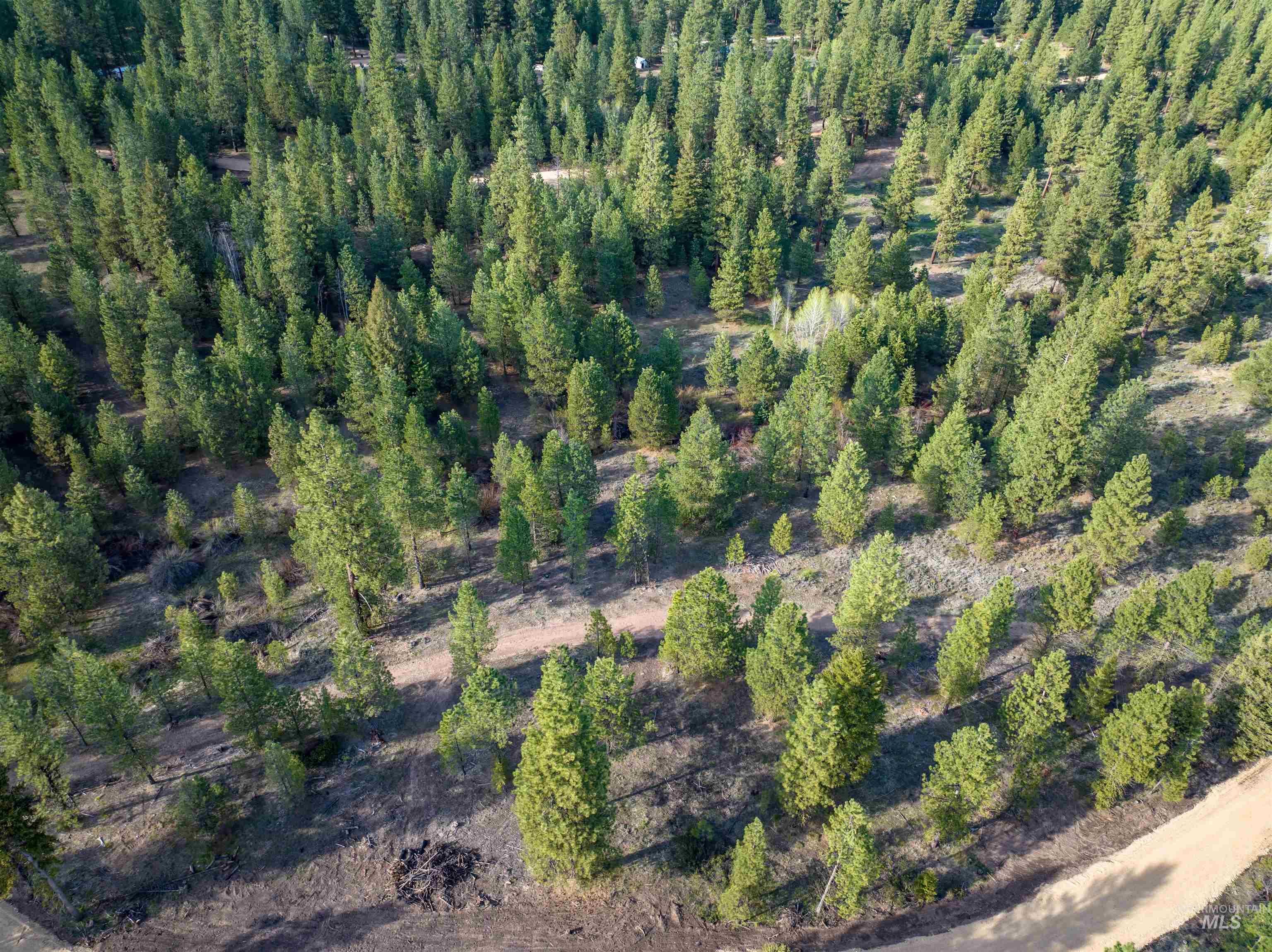 Lot 31 Trail Creek Ct, Placerville, Idaho 83666, Land For Sale, Price $195,000,MLS 99003716