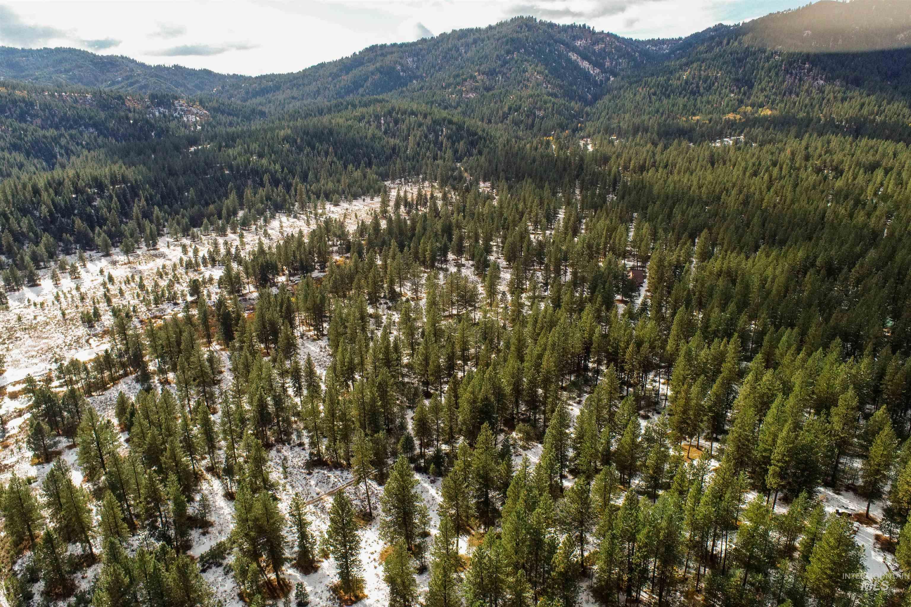 Lot 31 Trail Creek Ct, Placerville, Idaho 83666, Land For Sale, Price $195,000,MLS 99003716