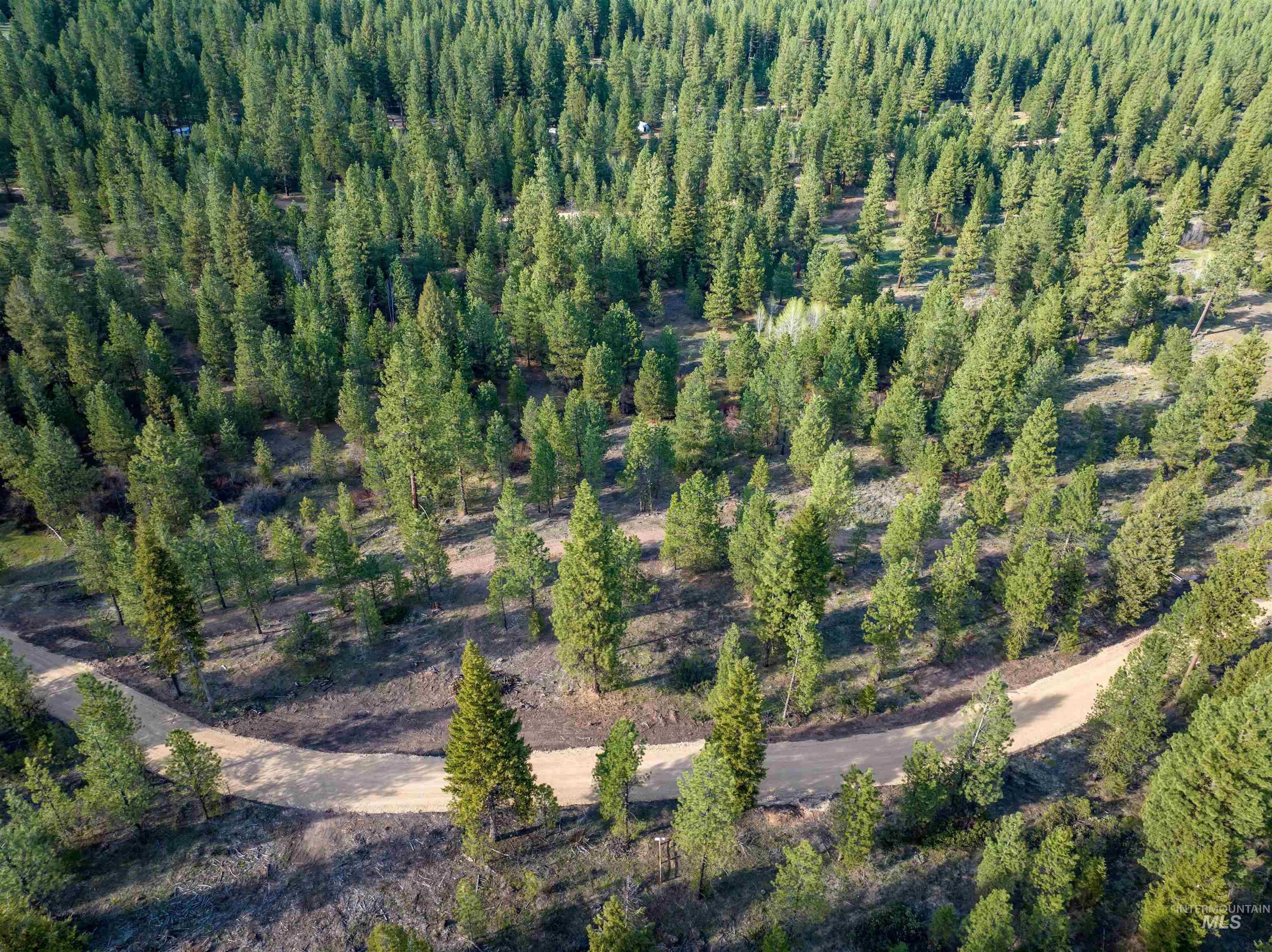 Lot 31 Trail Creek Ct, Placerville, Idaho 83666, Land For Sale, Price $195,000,MLS 99003716