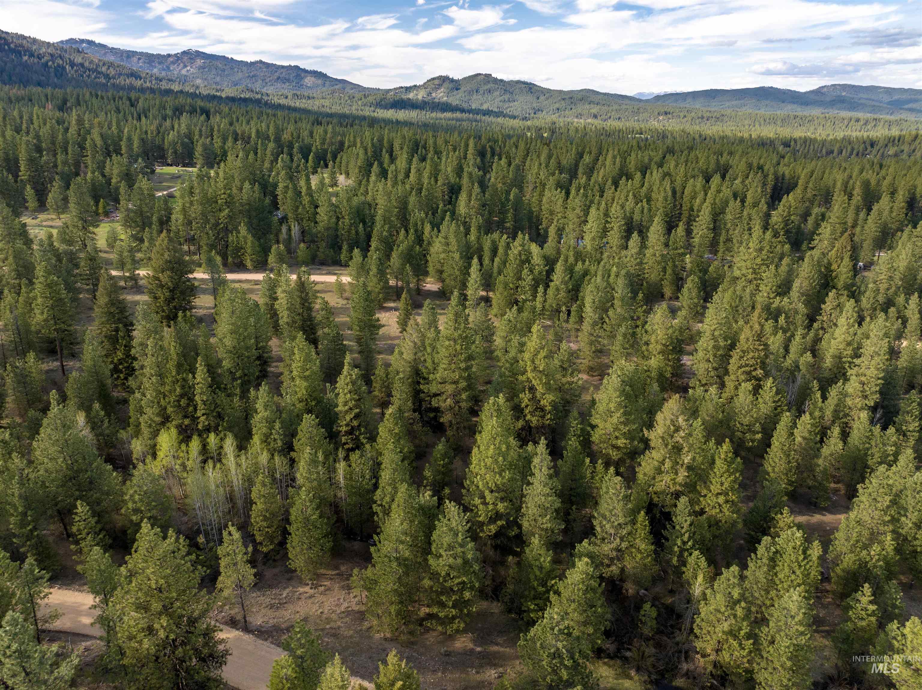 Lot 31 Trail Creek Ct, Placerville, Idaho 83666, Land For Sale, Price $195,000,MLS 99003716