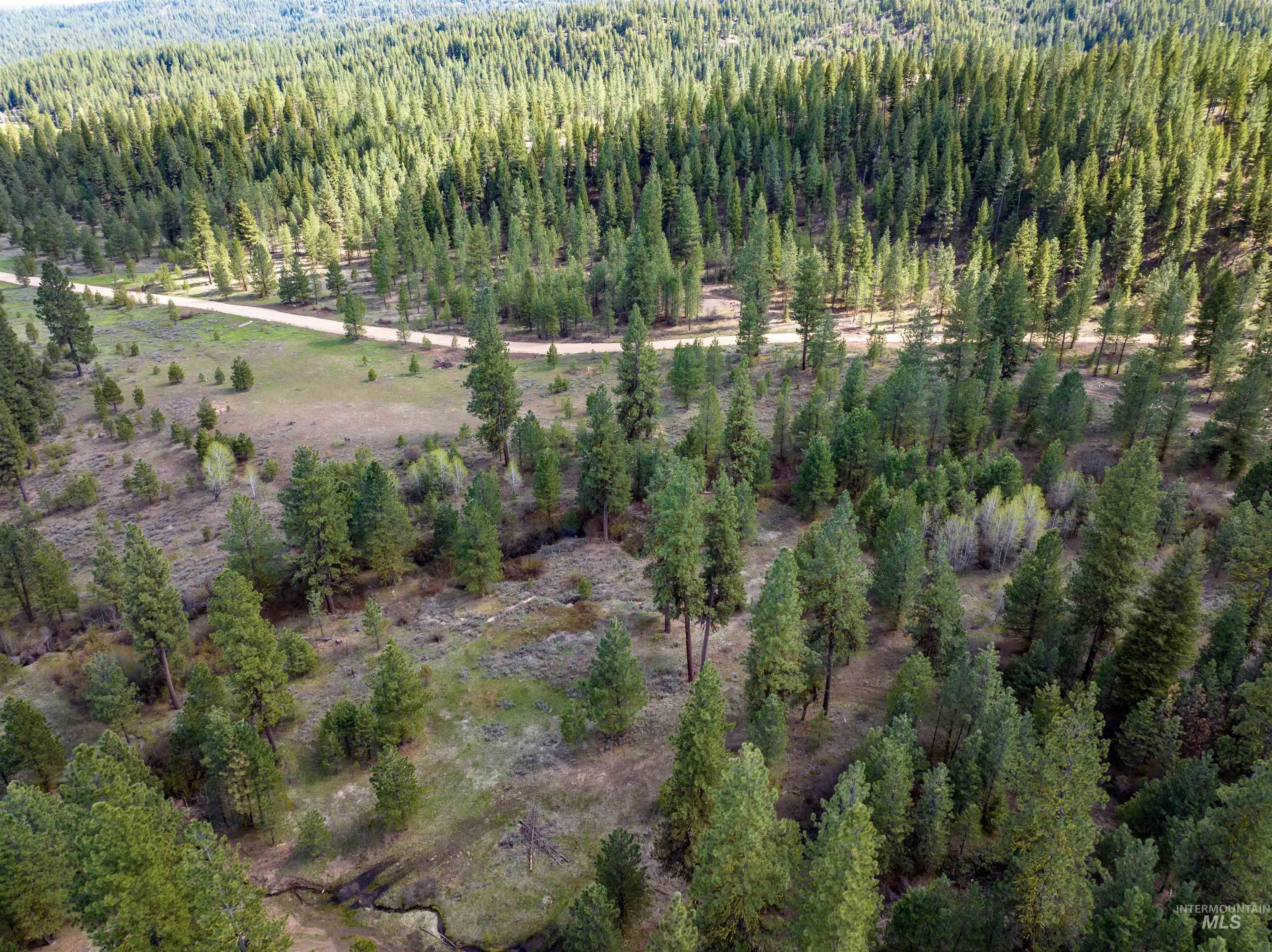 Lot 31 Trail Creek Ct, Placerville, Idaho 83666, Land For Sale, Price $195,000,MLS 99003716